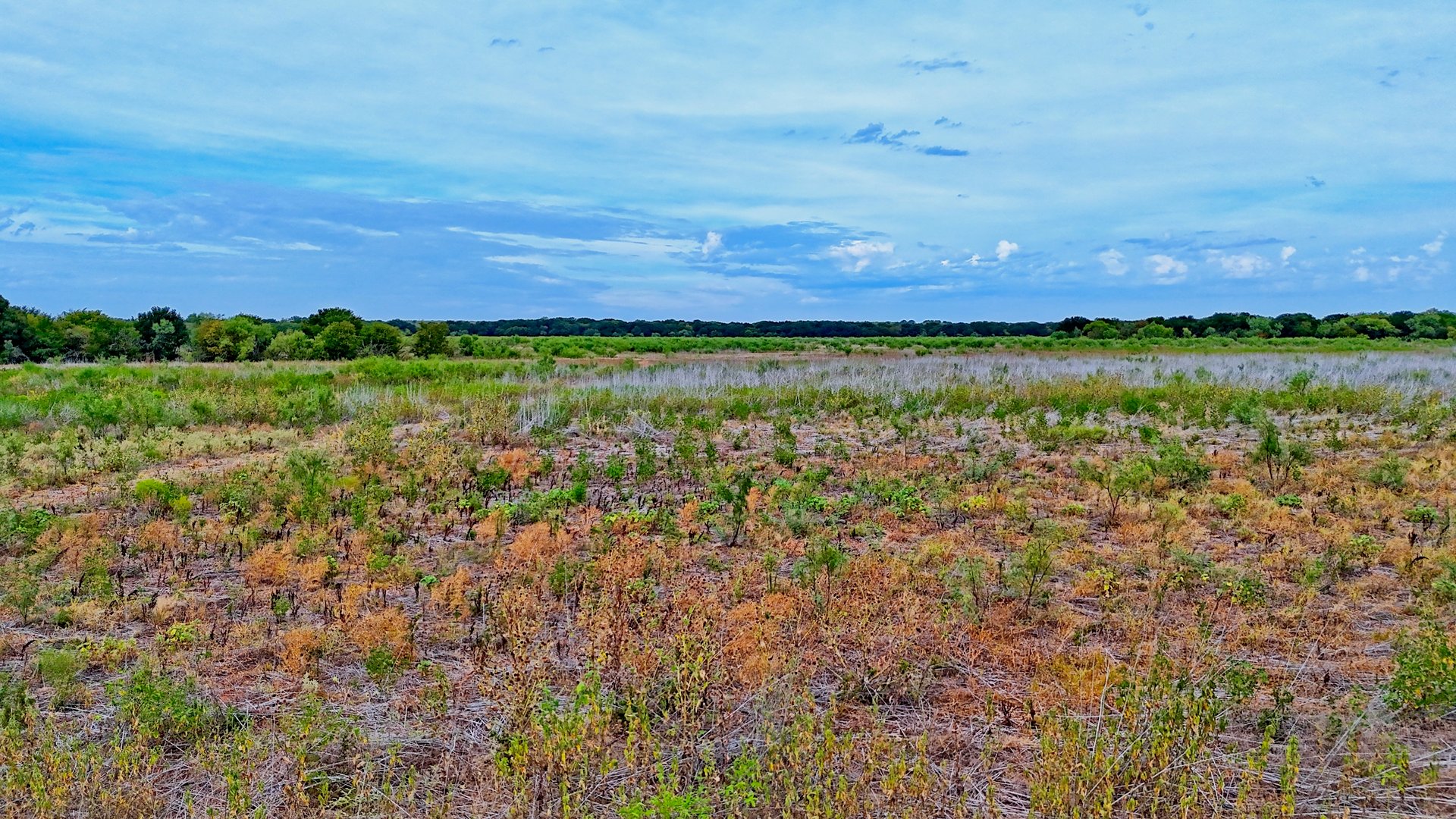 Cross Creek Ranch 