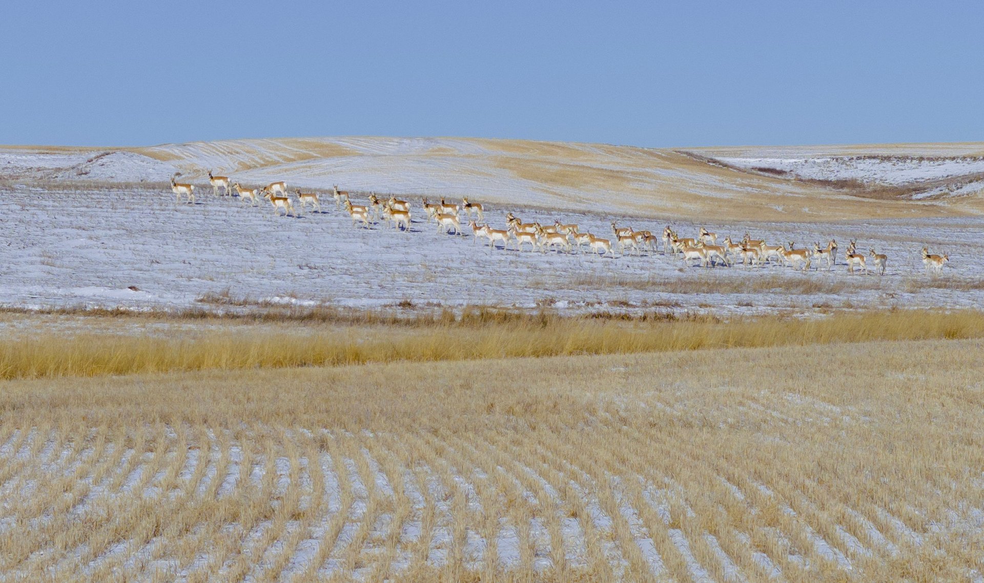 Upland Edge