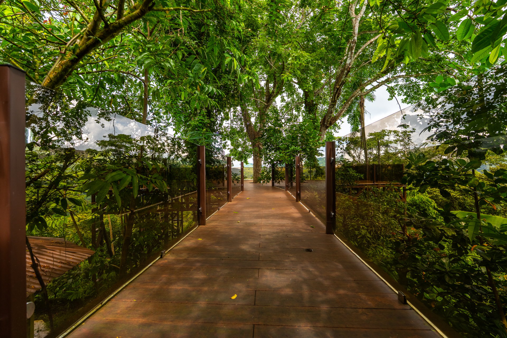 FIRE SALE!! | Where the Journey Begins | Private Jungle Estate at Nauyaca Waterfalls