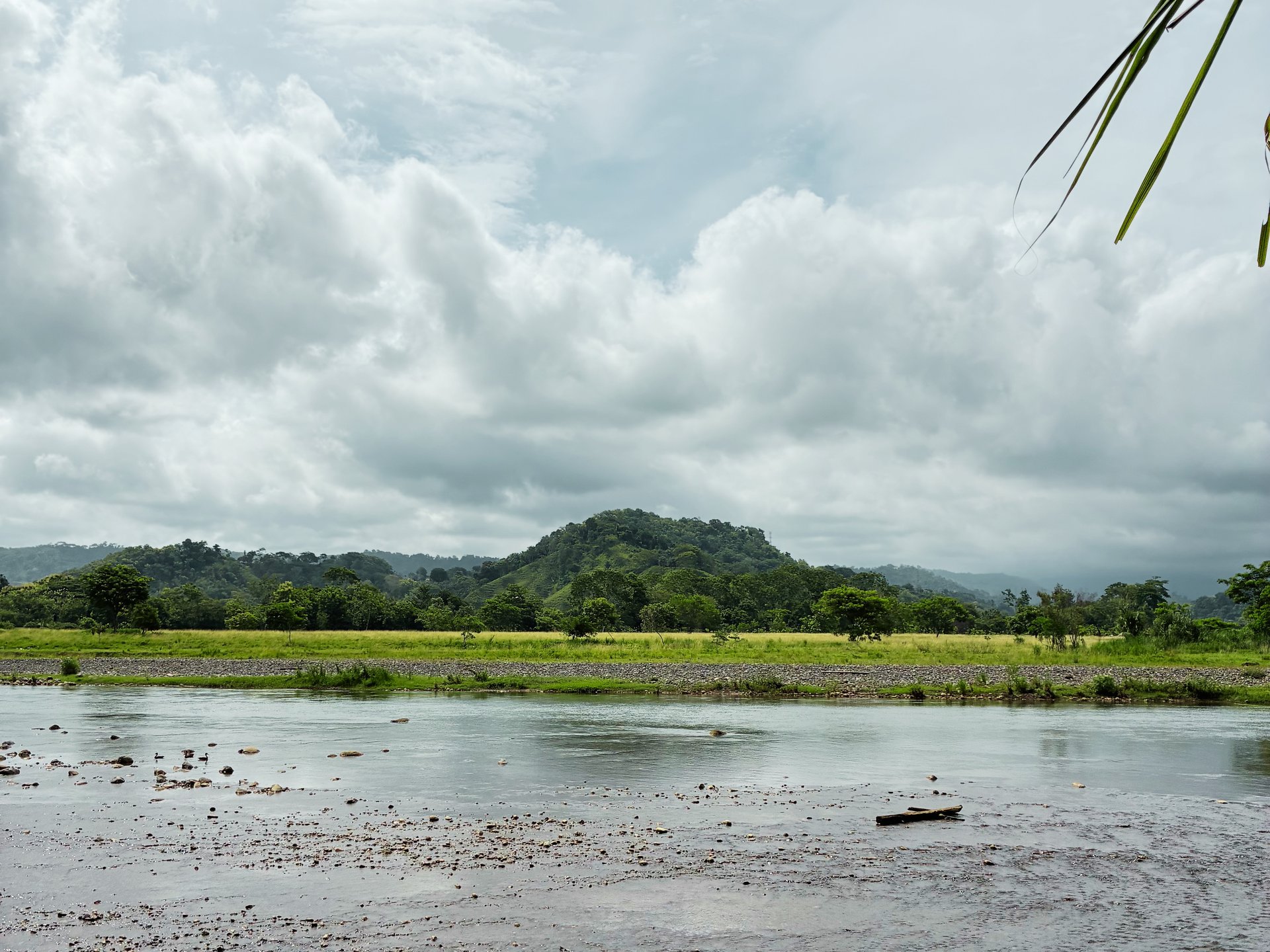 7-Hectare Farm with Teak Plantation, Existing Home & Eco-Development Potential Near Parrita, Costa Rica