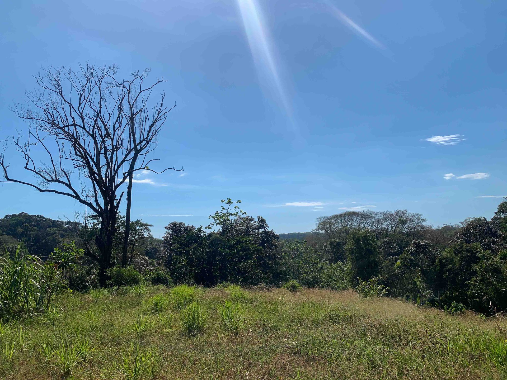 Spectacular and Affordable Property close to Dominical