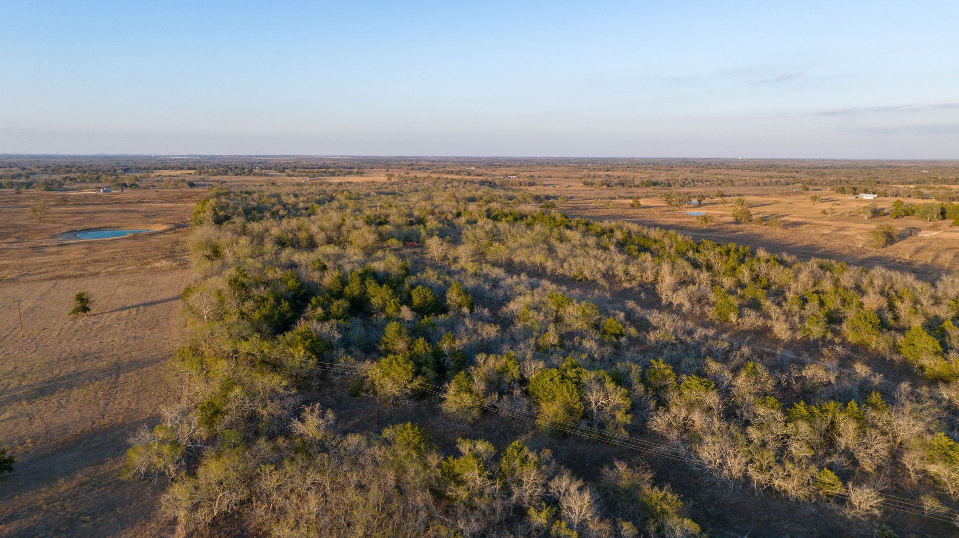 Gonzales County | 104+/- Acres