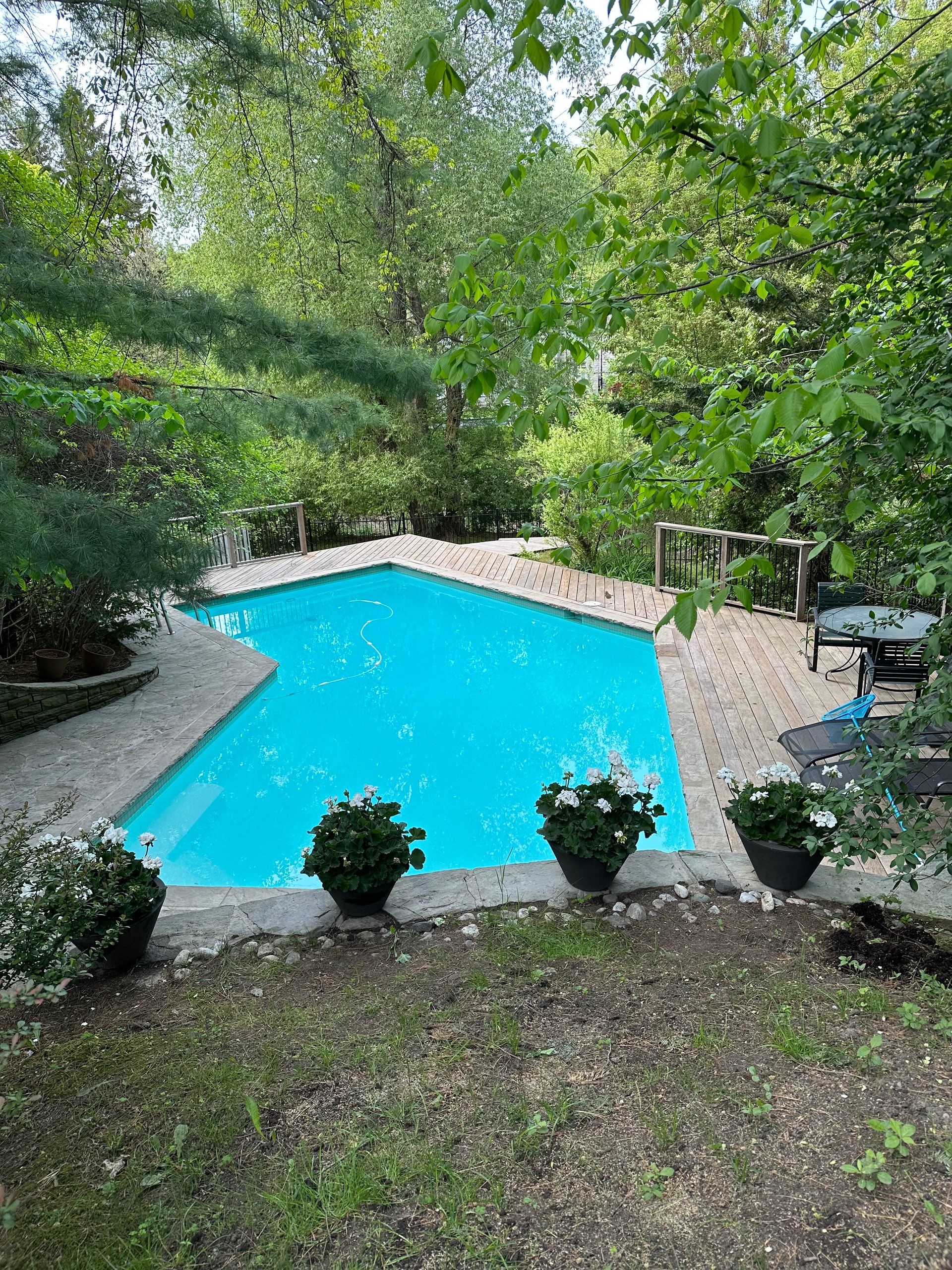 SOLD: Luxurious Country Living In The City