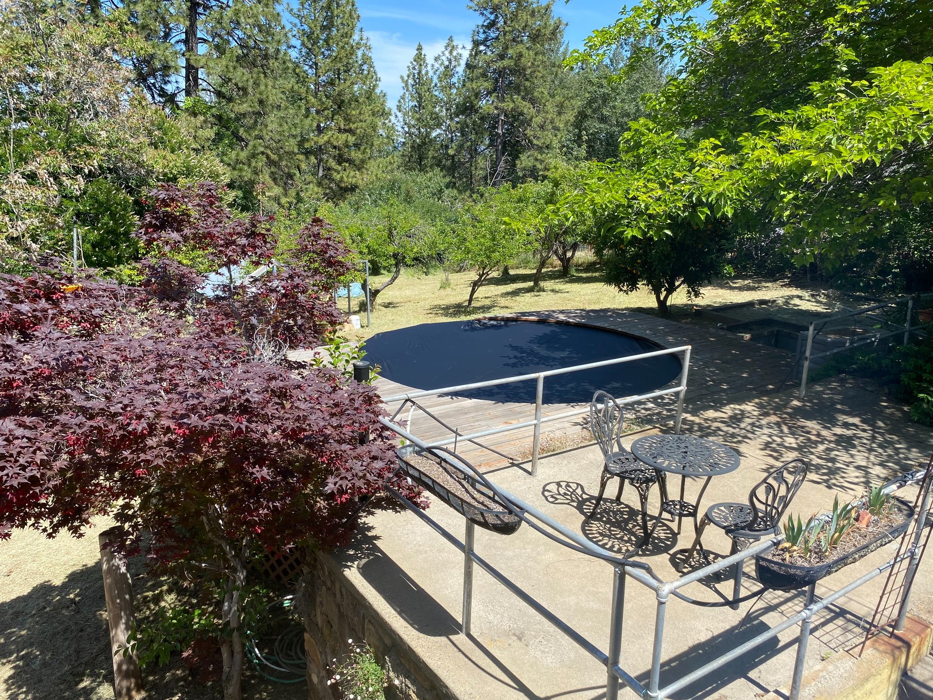 Backyard pool beside a raised stone patio with metal outdoor seating and mature trees.