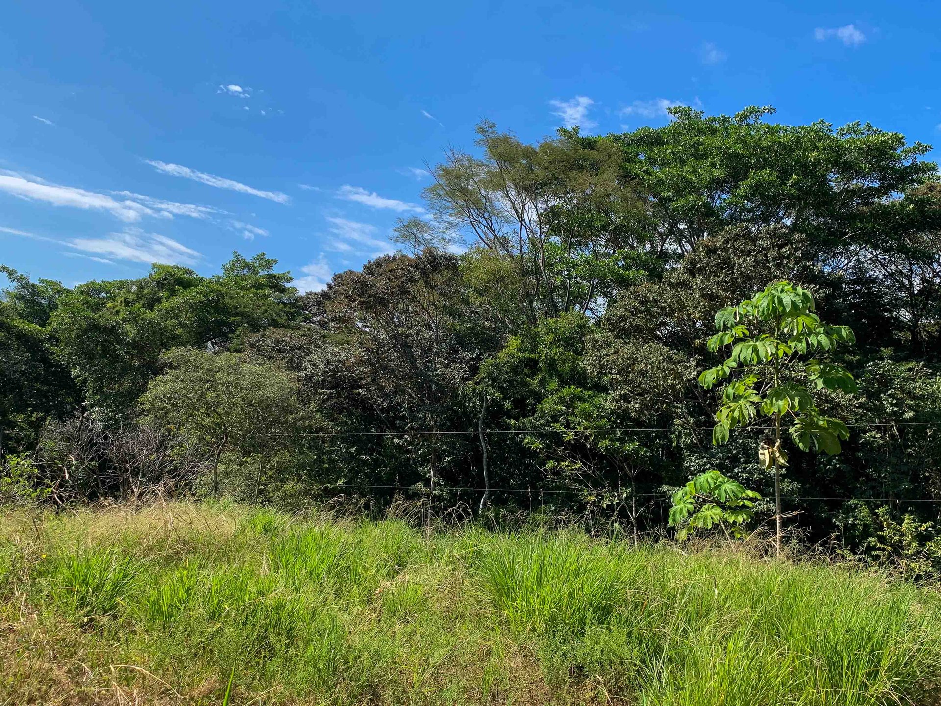 Spectacular and Affordable Property close to Dominical