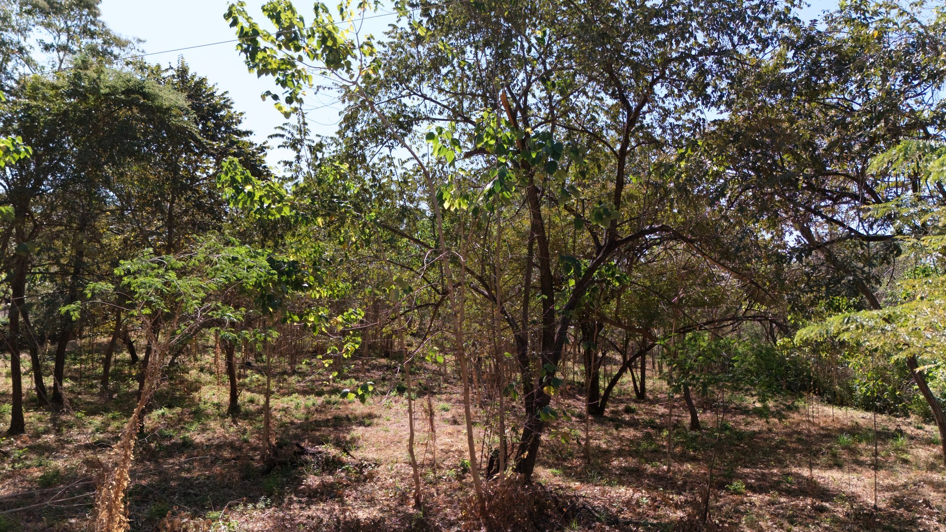 Beautiful 1.46-Acre Lot in Playa Grande