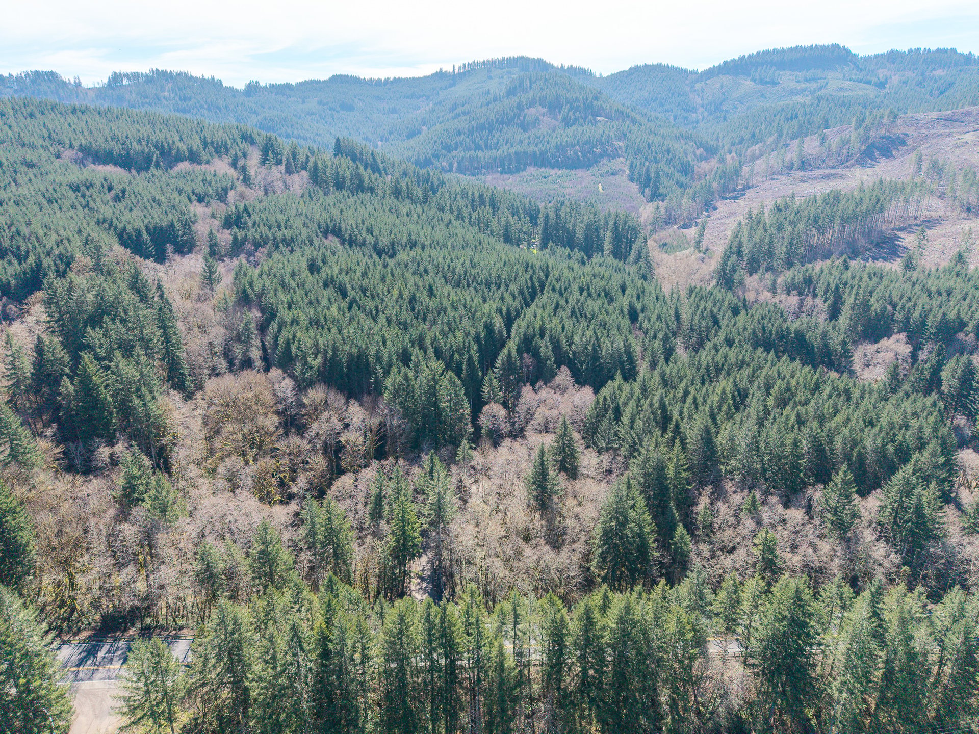 LITTLE ELK TREEFARM
