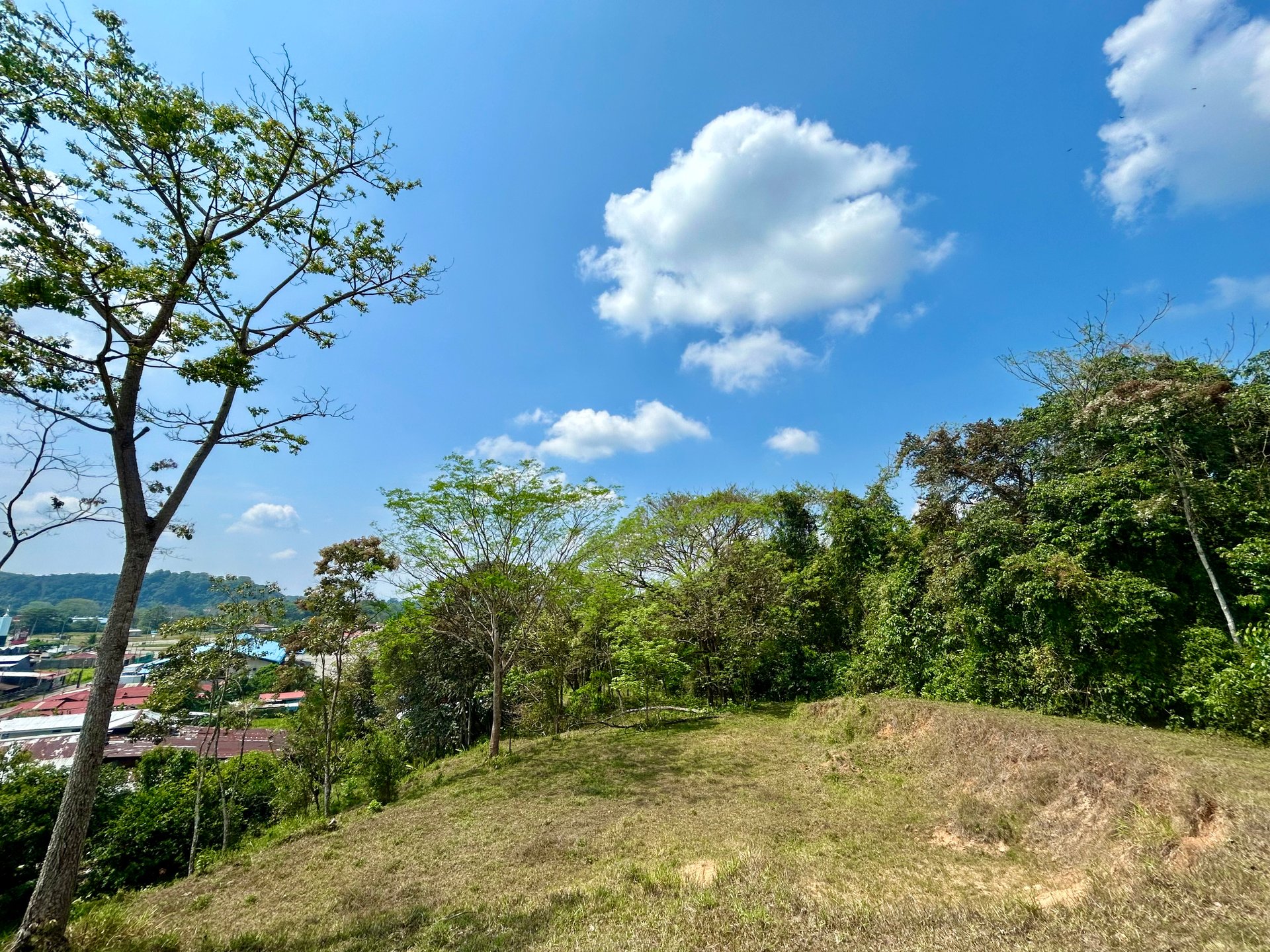 Mix Use Land in Palmar Norte with Costanera Access and Several Potential Building Sites - Over 10 Acres