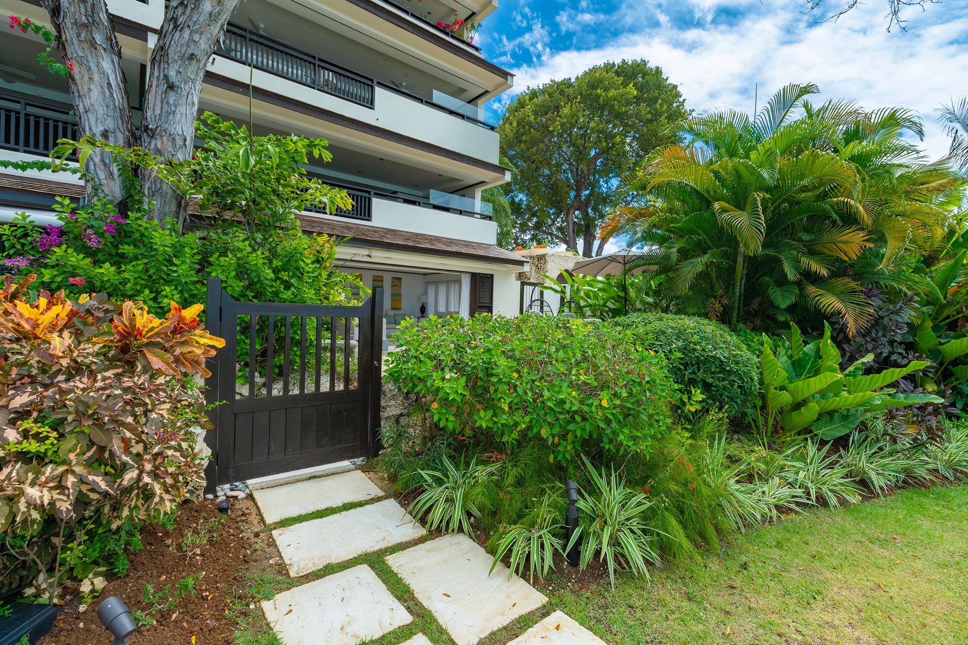 Coral Cove One