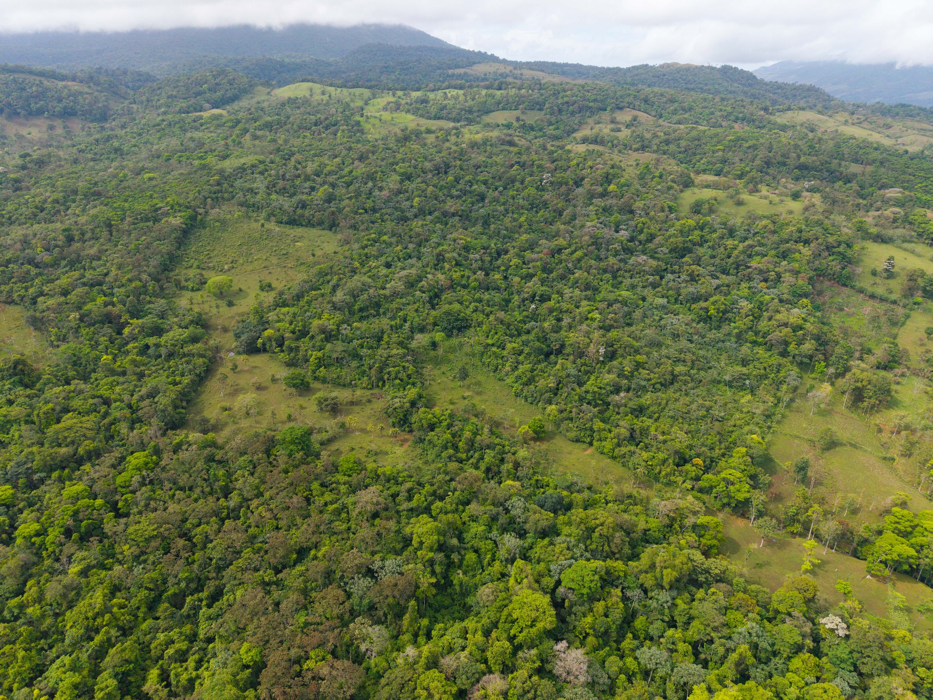 Finca Las Zompopas-Río Celeste | 113-Acre Biodiverse Property in Bijagua, Ideal for Eco-Tourism, Private Retreats, or Sustainable Development