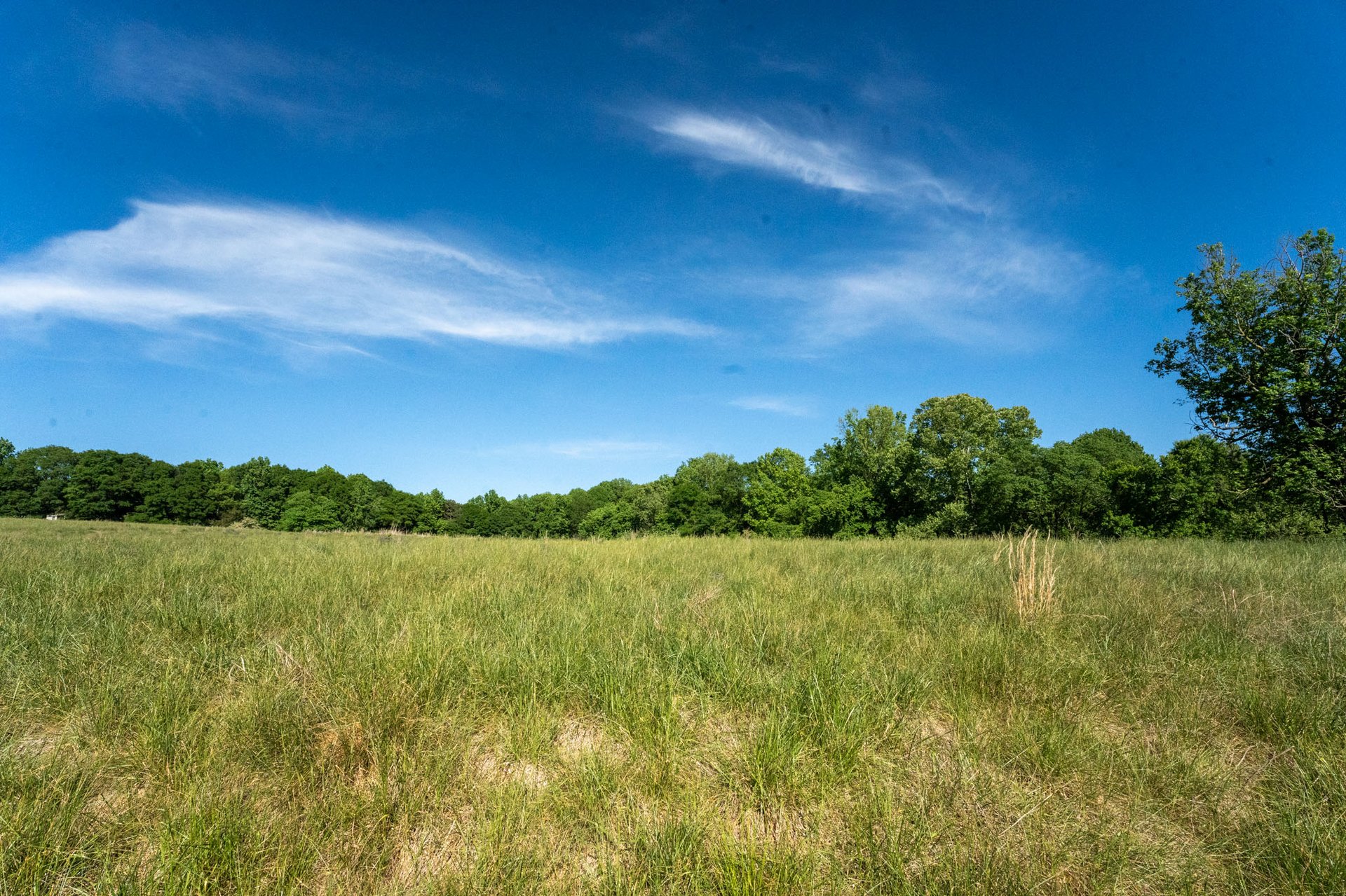 The Ranches at Sandy Creek
