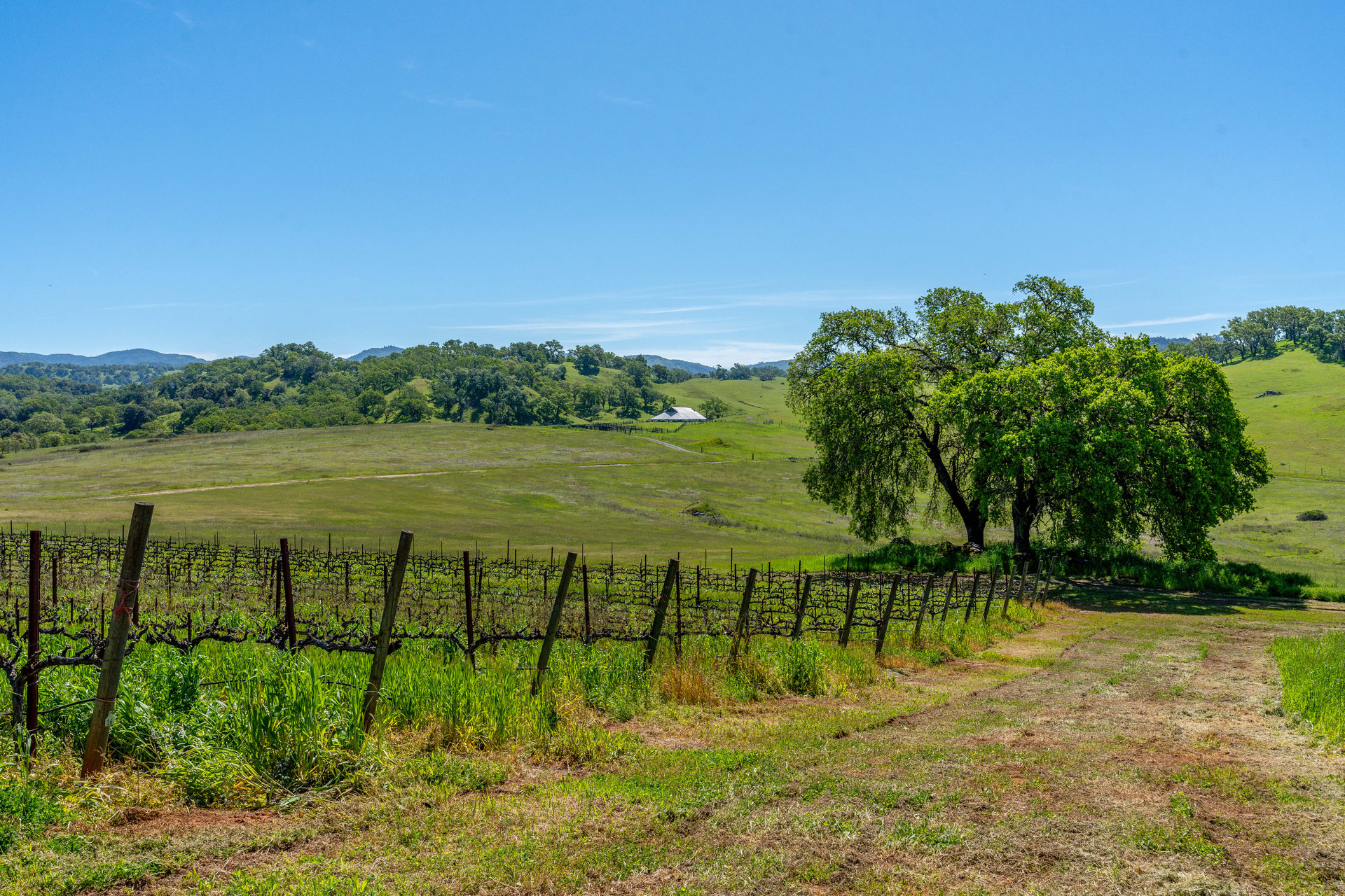 The Hopland Hills Ranch