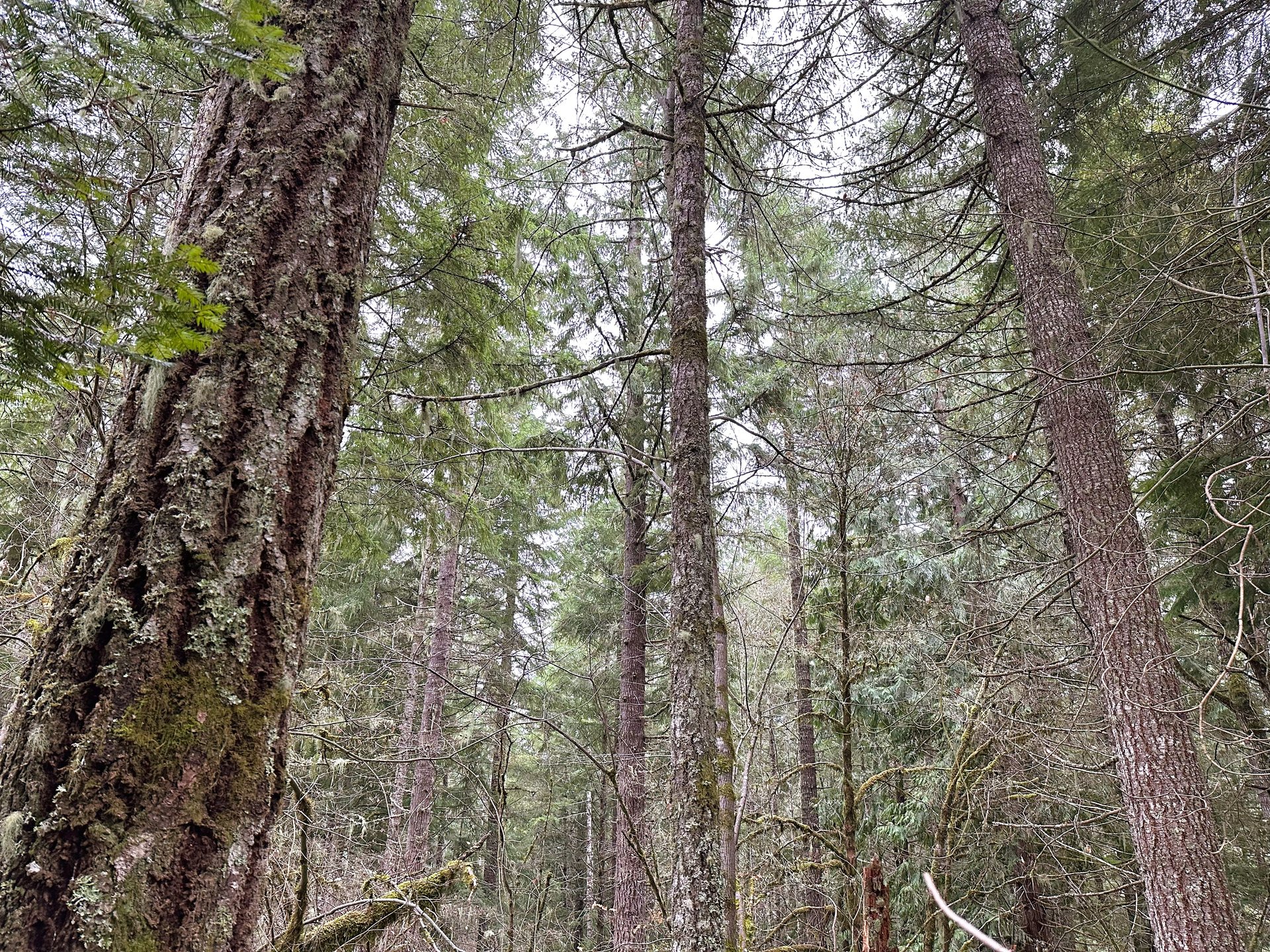 Mosby Creek Farm & Forest