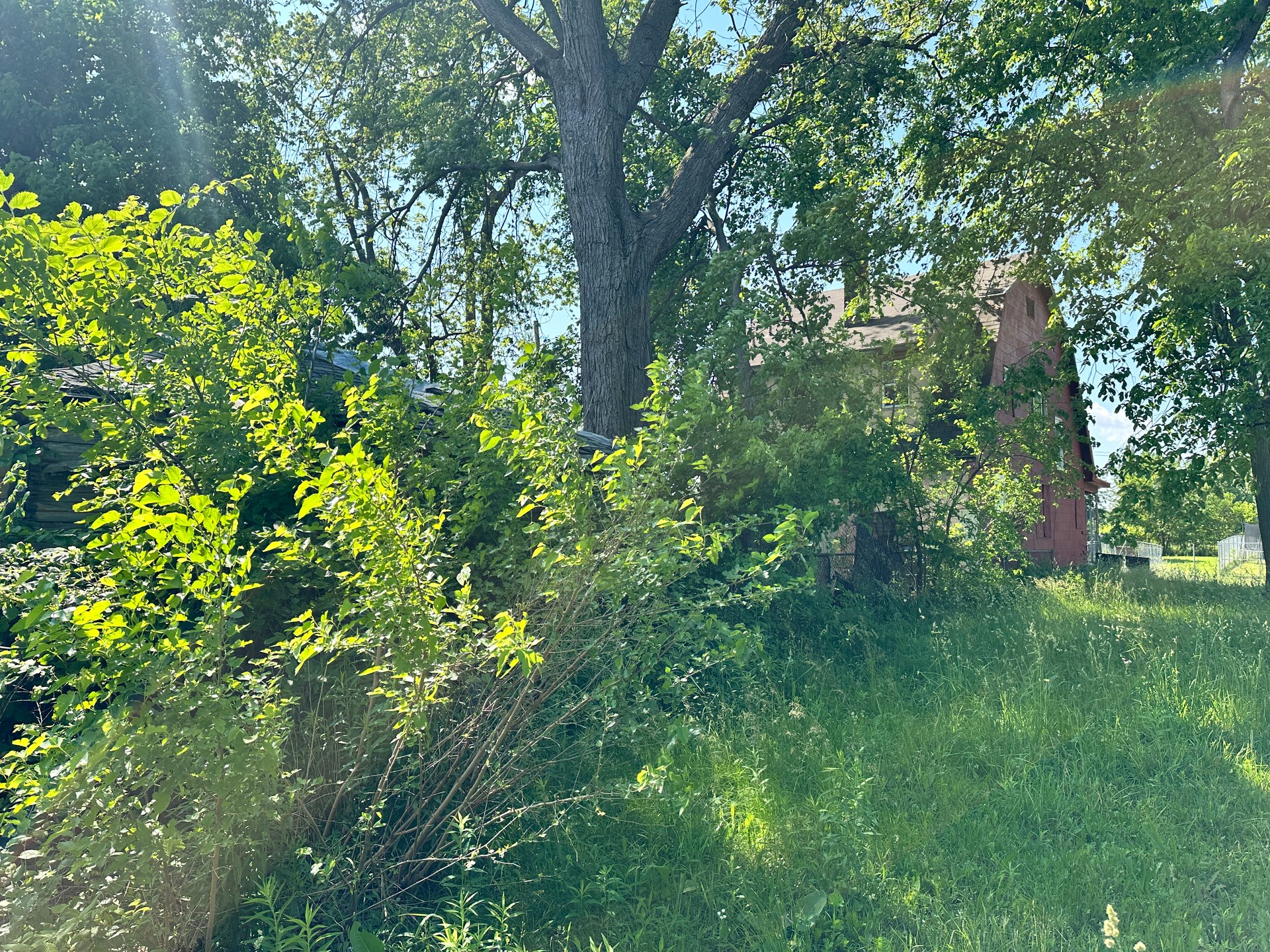 28 W Montana St