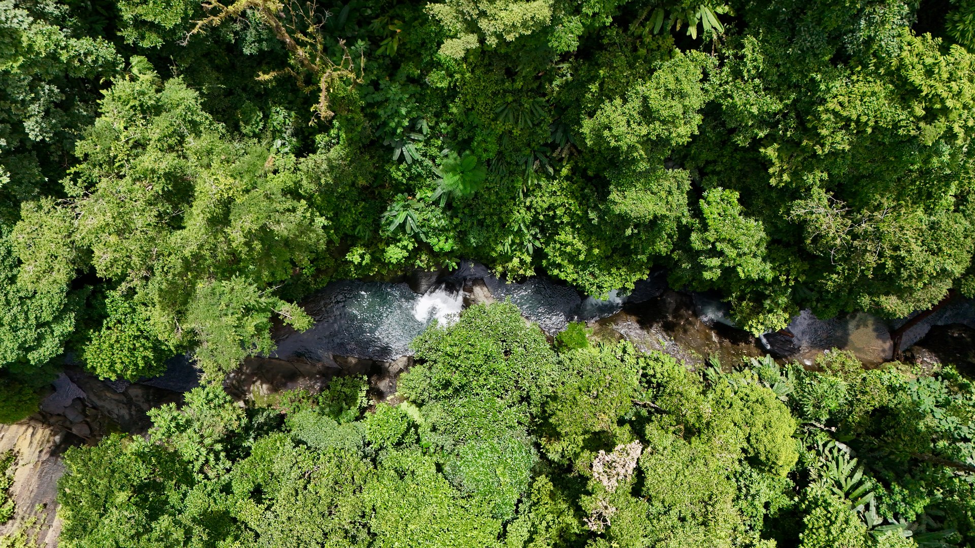 La Unión Road Investment Opportunity - 2.2 Acres with Existing Teak Cabin & River Access 