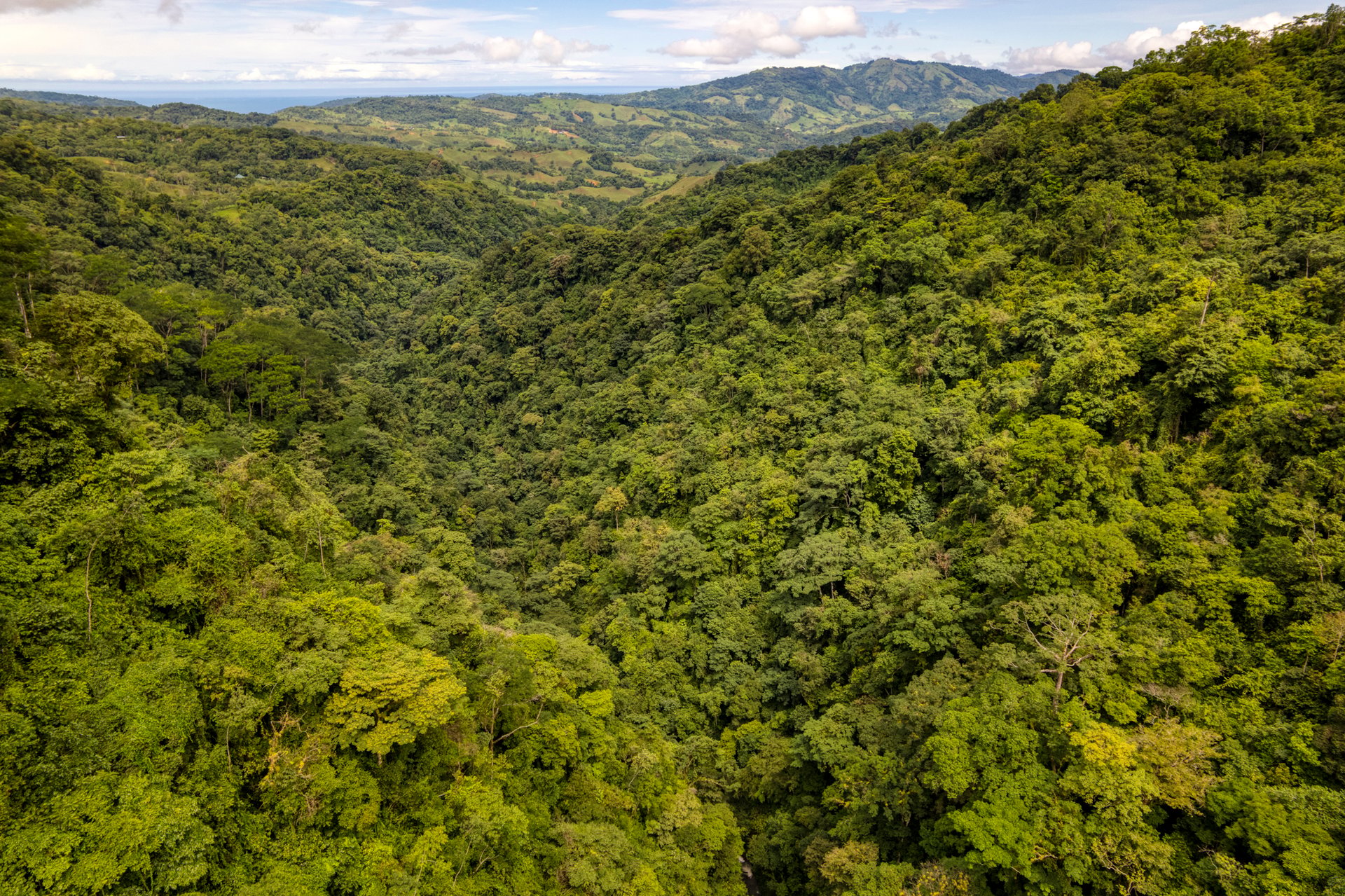Once in a Lifetime Waterfall Farm in a Pristine Biological Corridor