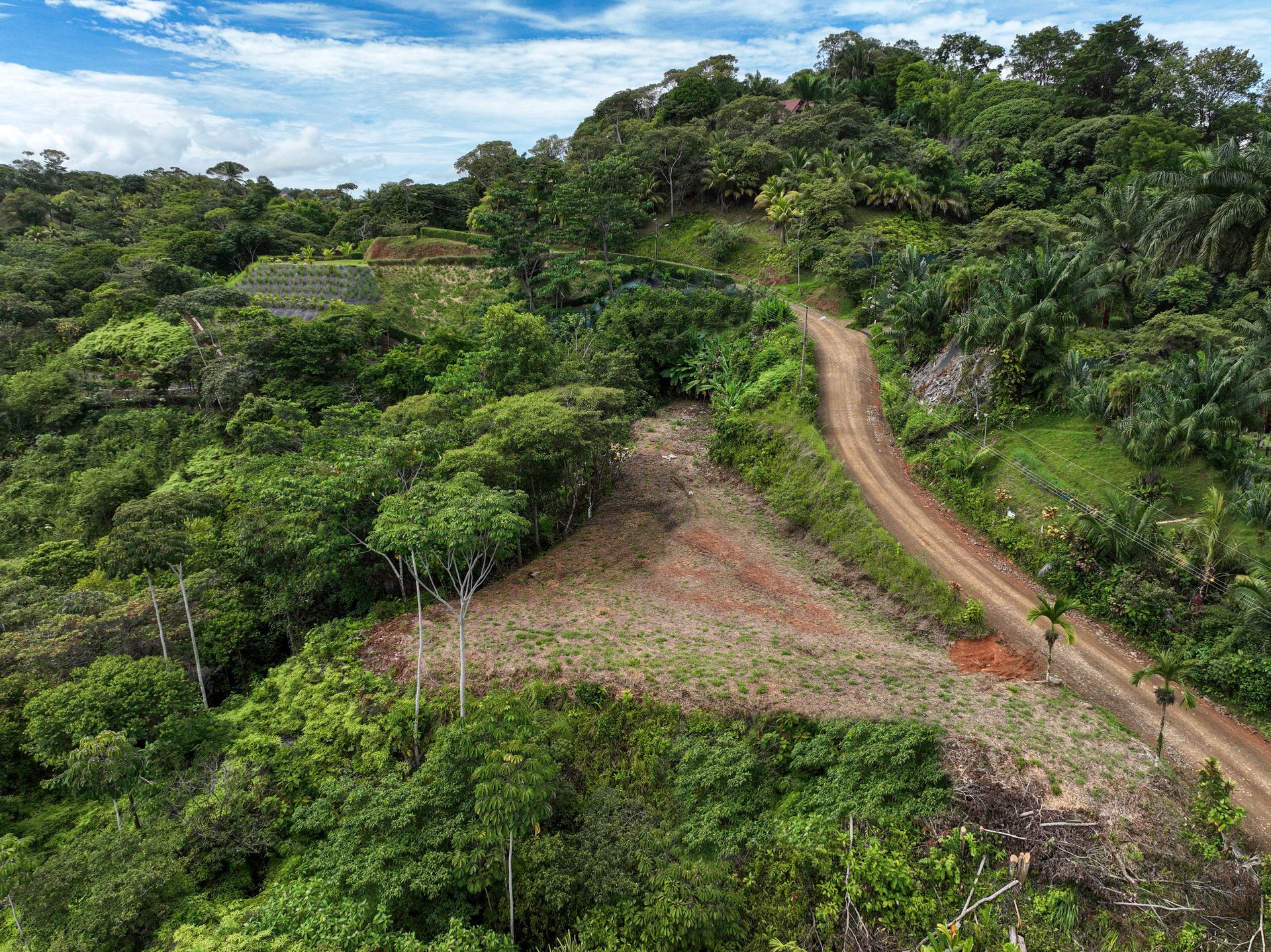 Ocean, Mountain View Ready to Build Lot on Desired Calle Perezoso