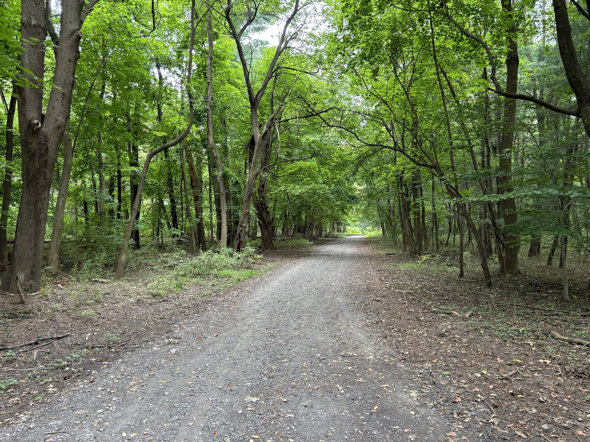 bensalem-04-nature-walking-trail-at-neshaminy-state-park.jpg