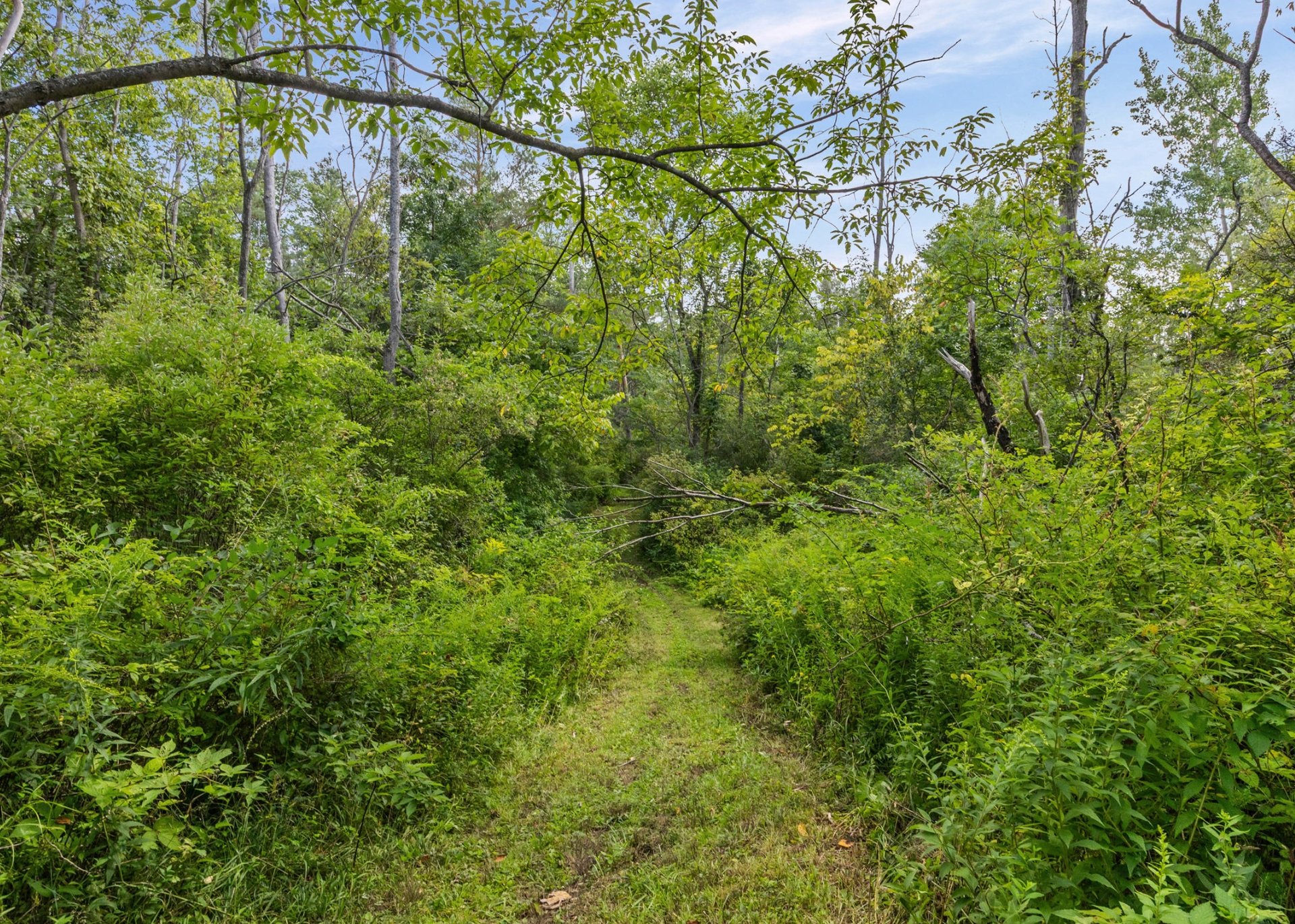 1235 Peck Road Hilton NY