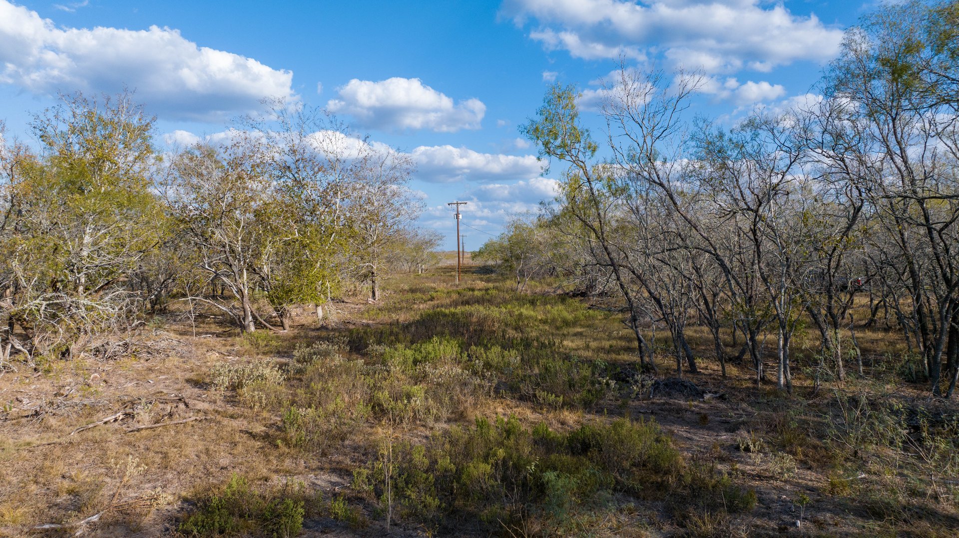 Gonzales County | 104+/- Acres