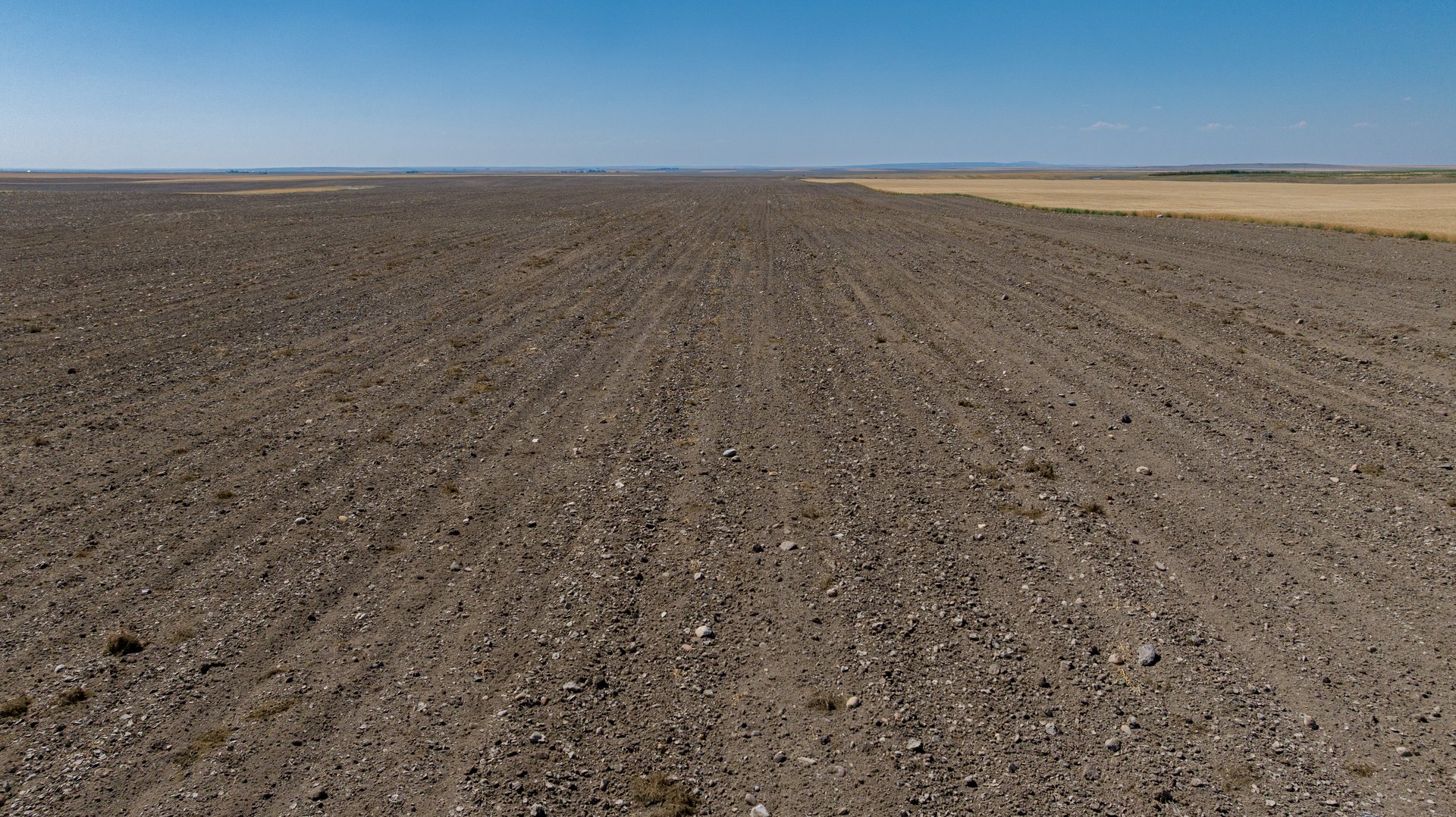 Hill County Organic & CRP Farm