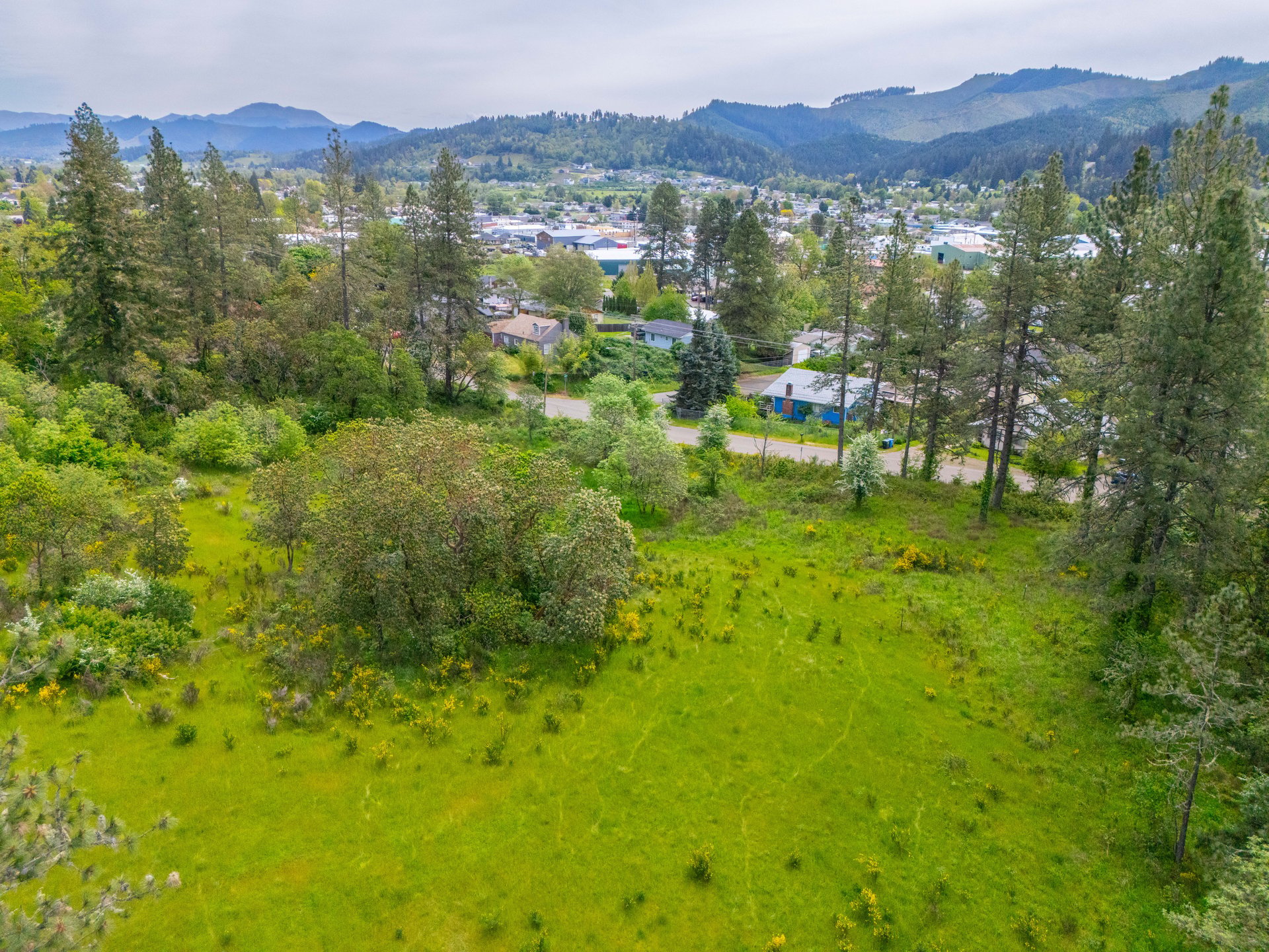 SUTHERLIN WOODLOTS