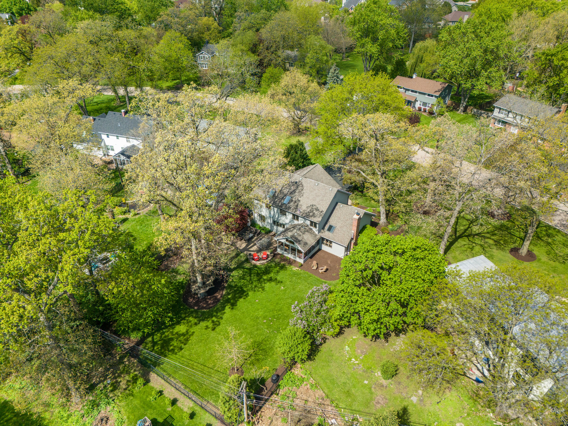 346 Meadowrue Lane