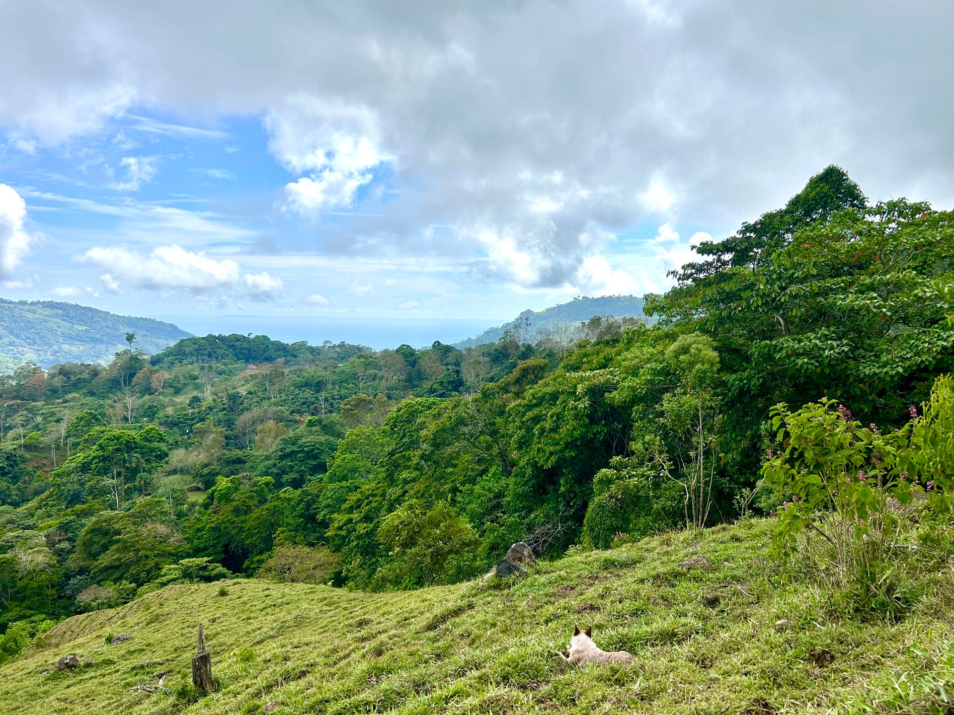 Gorgeous Land in San Luis Morete - Uvita - Over 17 Acres