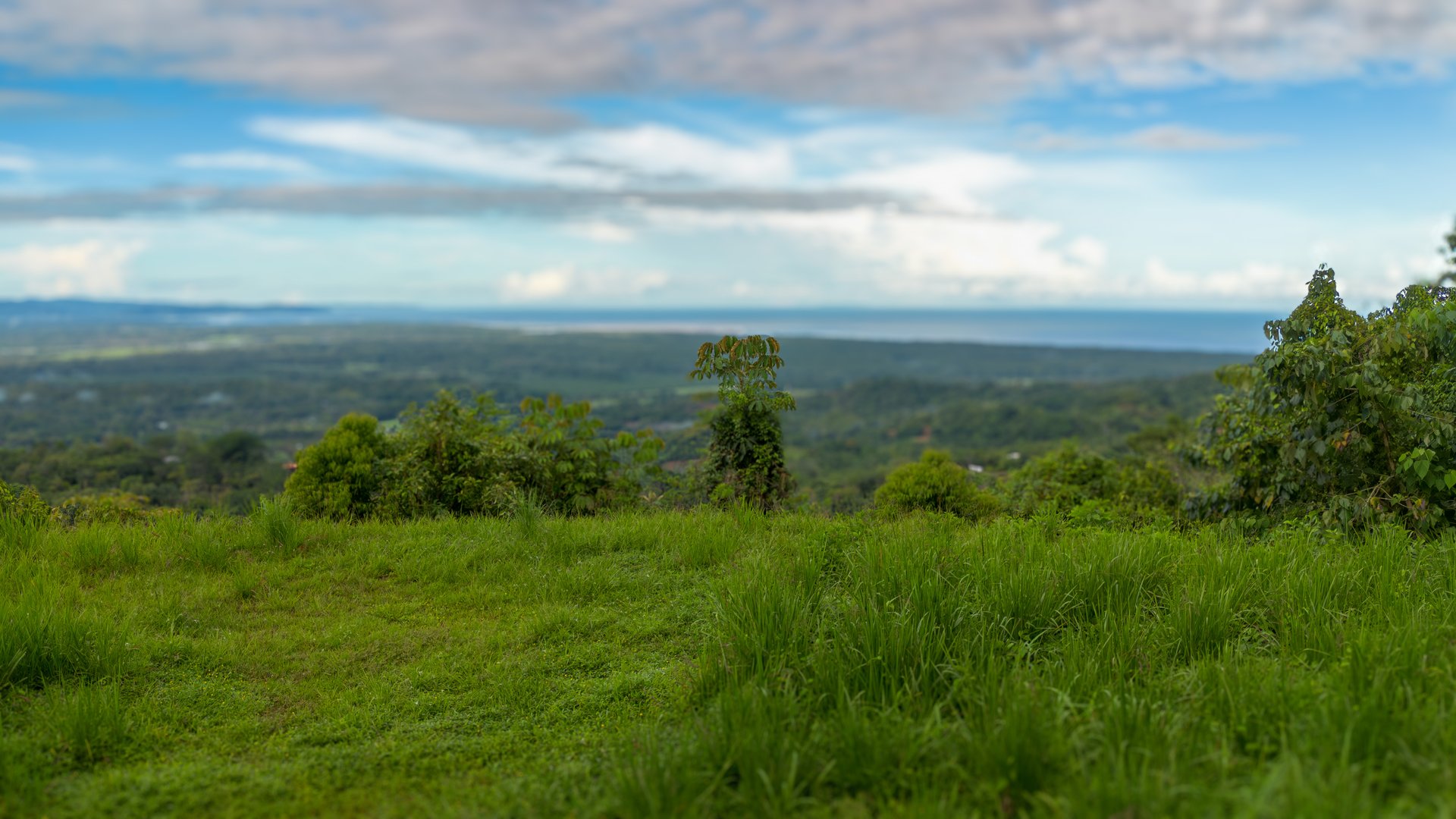 Oceancrest Cascada, Cascada el Sandalo 