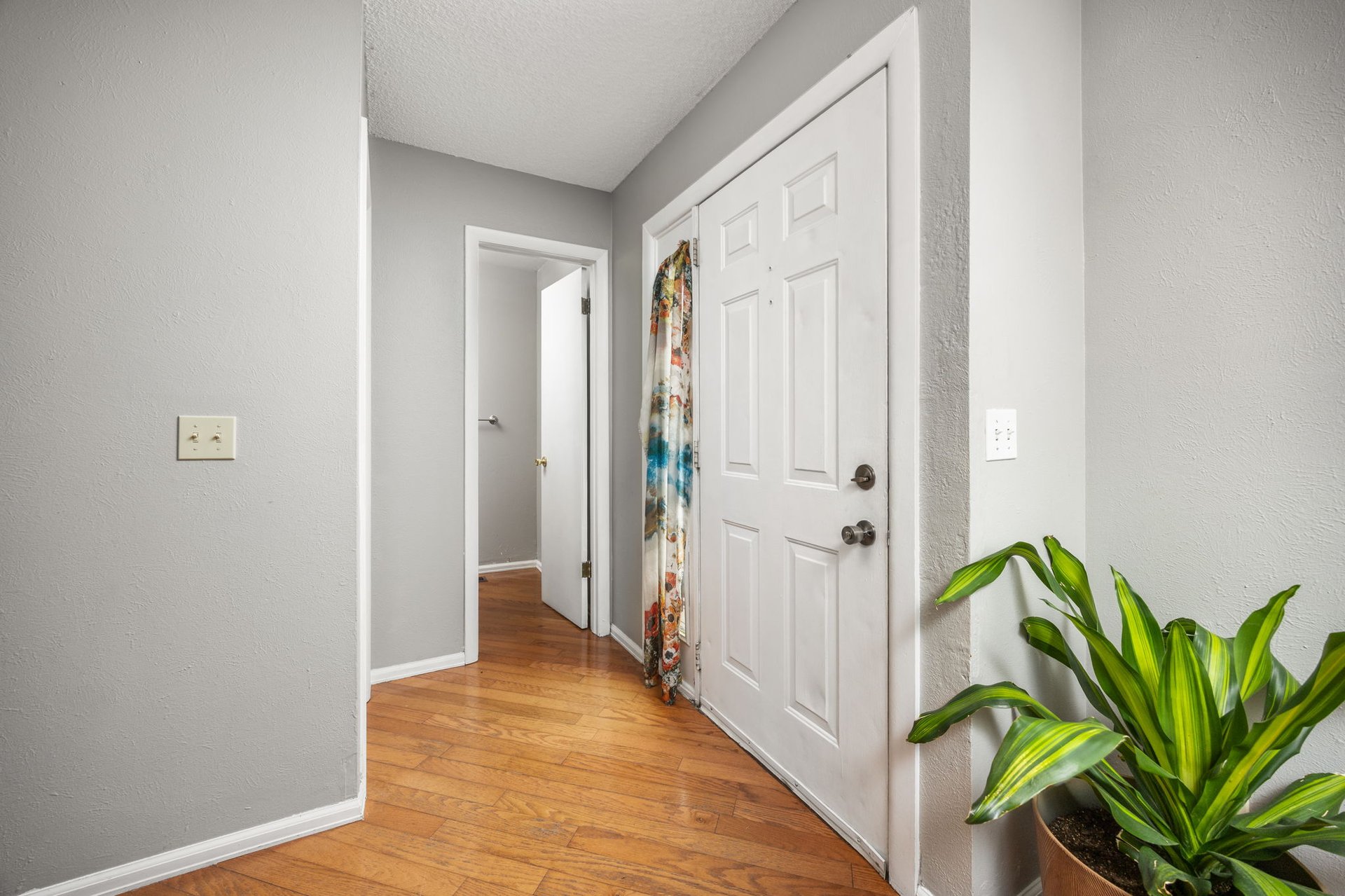 8782 Carr Loop