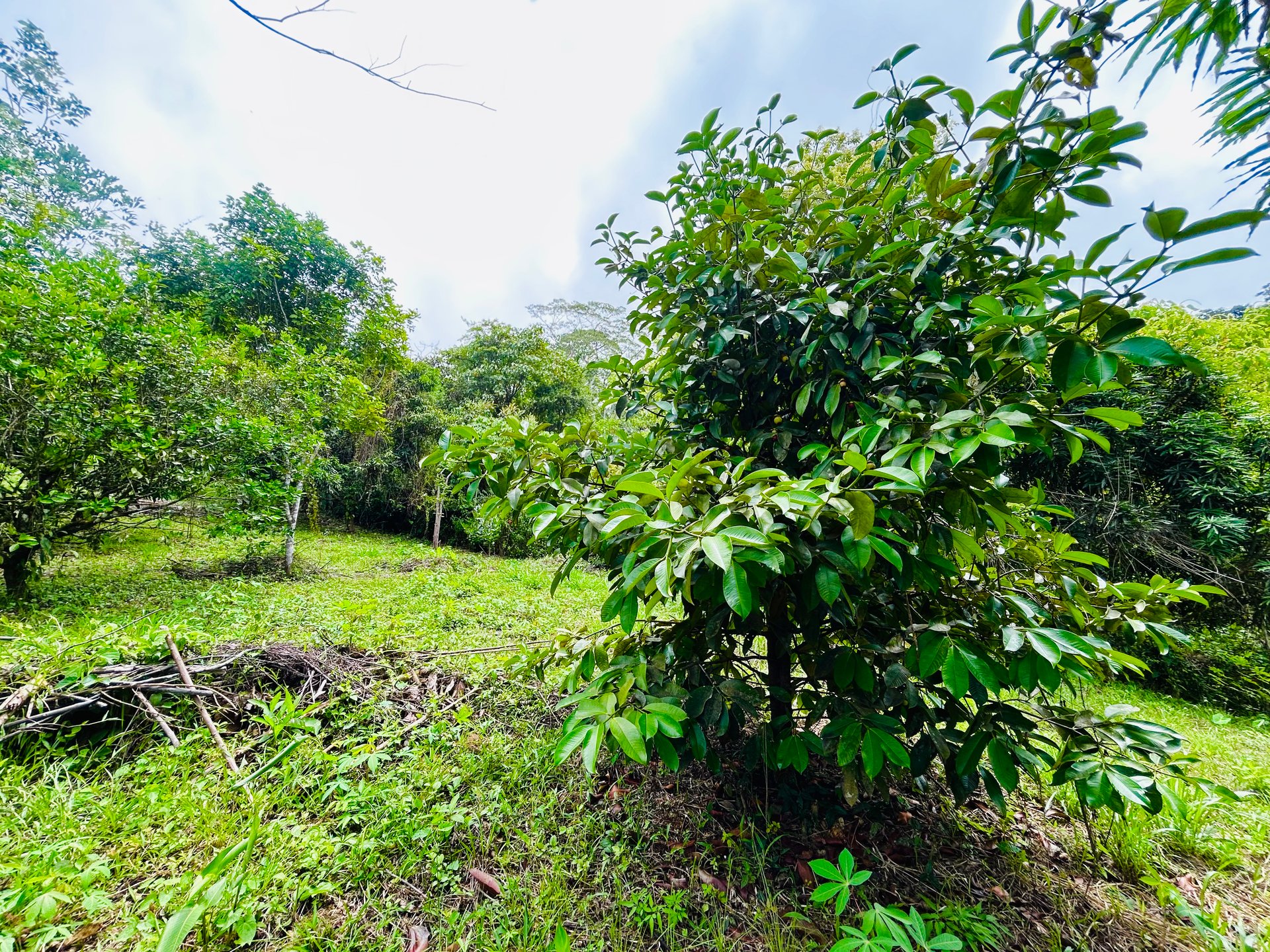 Ocean & Mountain View Lot with Multiple Building Sites-20 Minutes from Uvita
