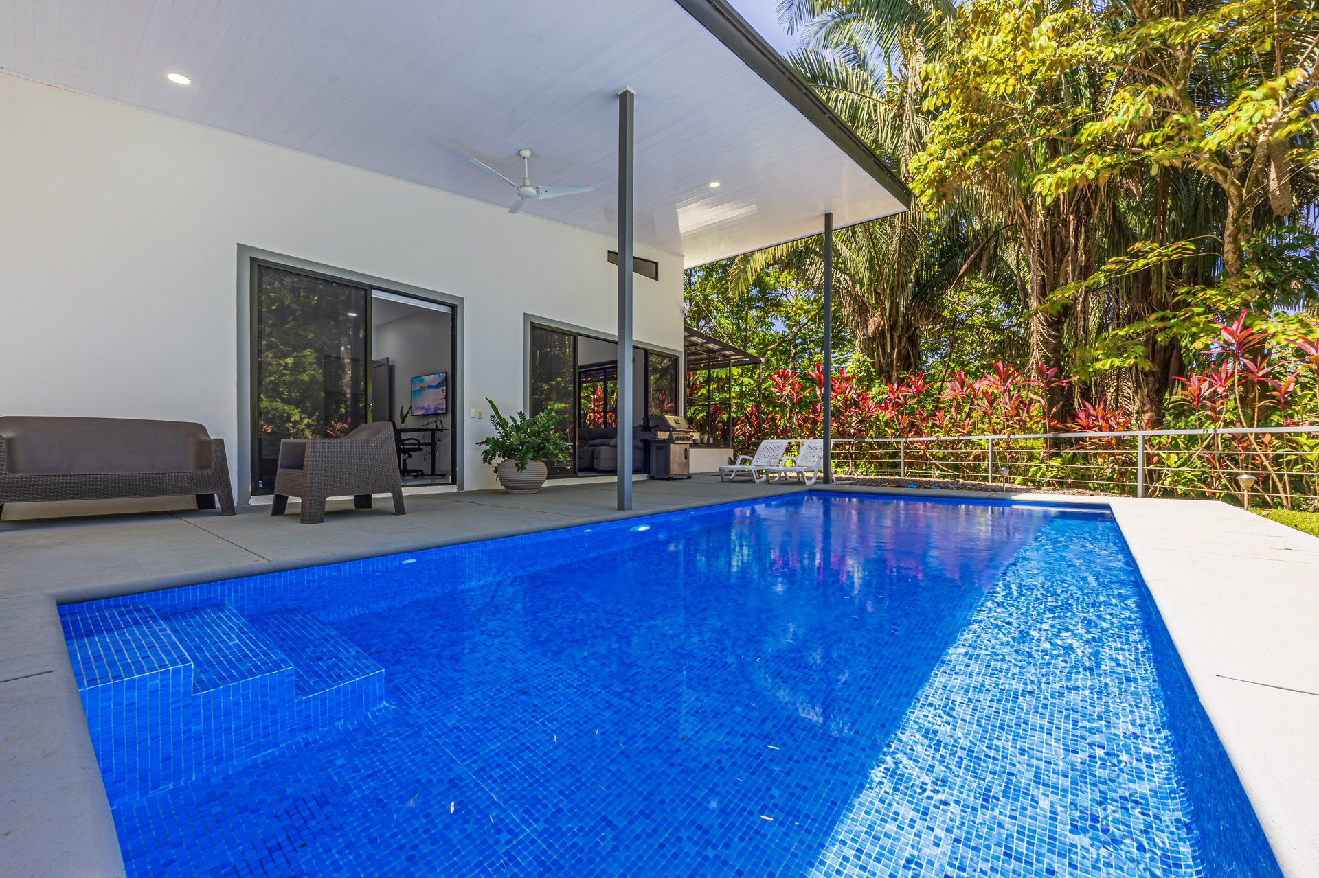 Cinco Ventanas Jungle Life Redefined