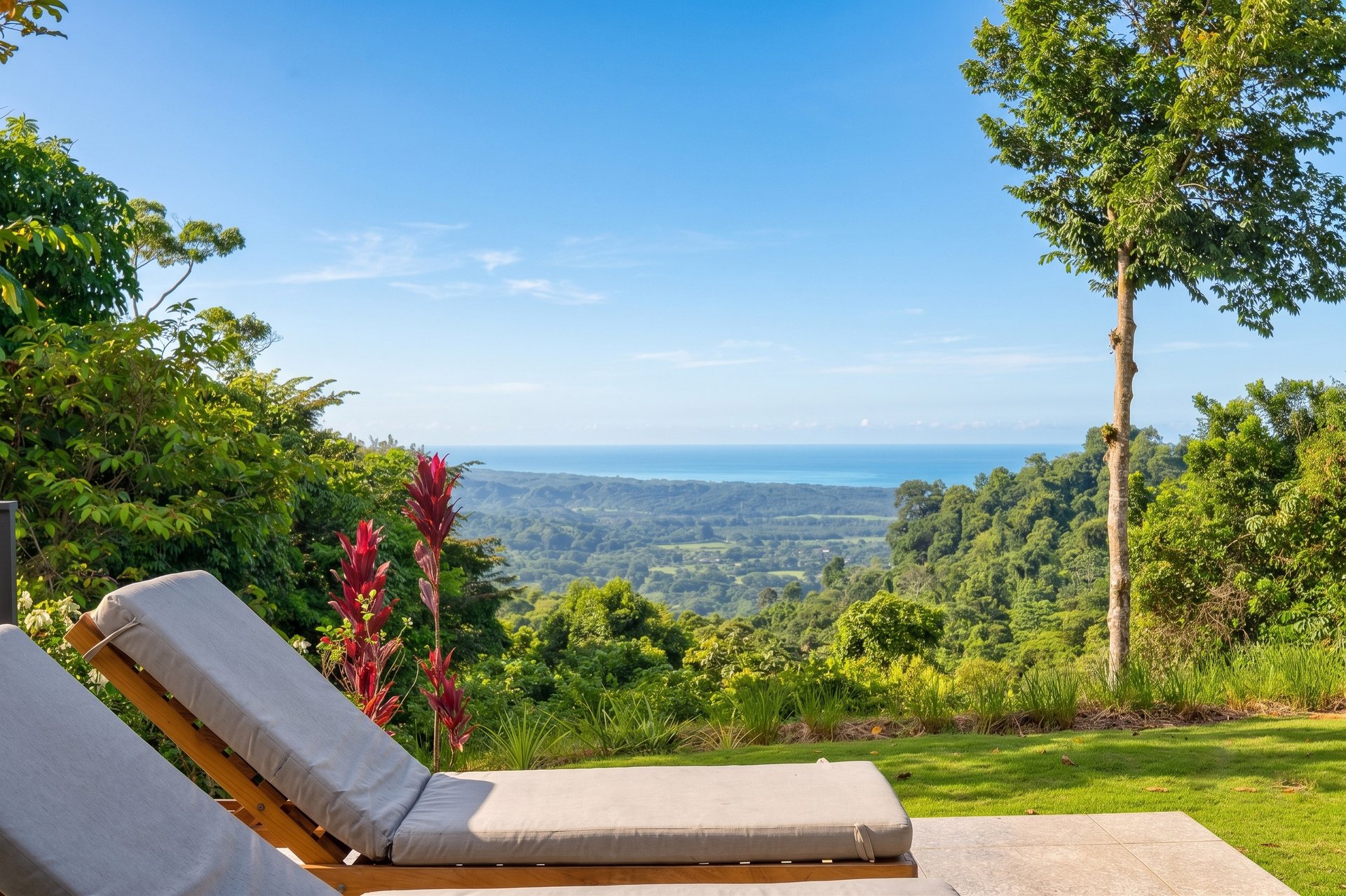 The Ocean View Sanctuary at Casa Delphines