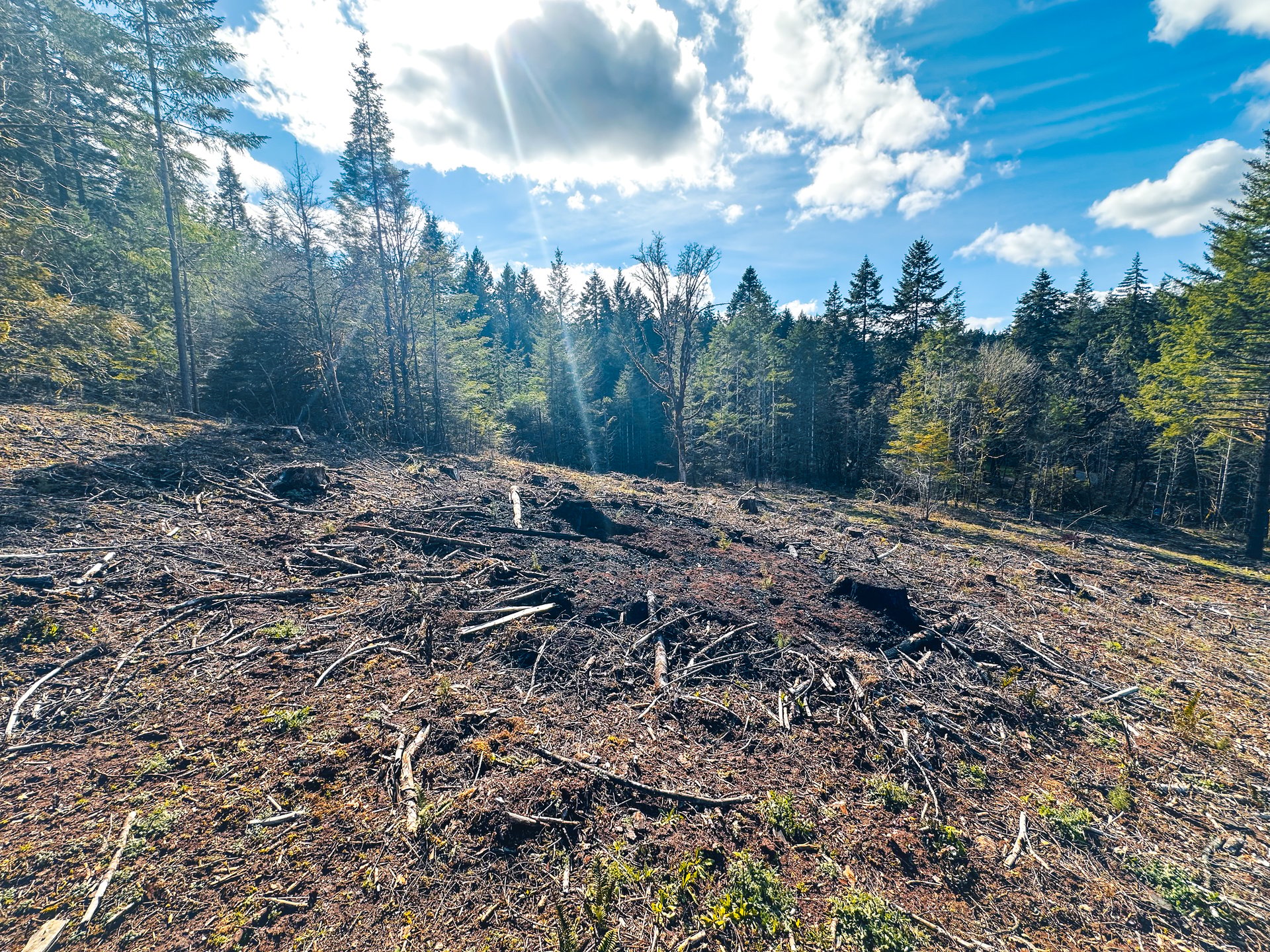 Sharewater Homesite