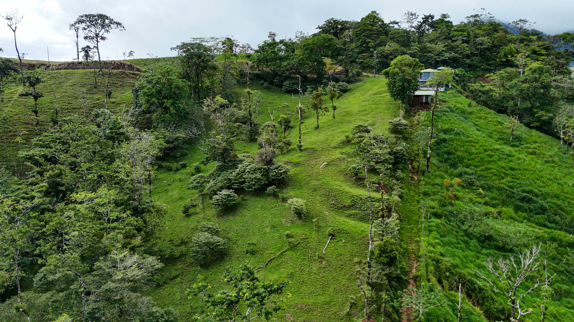 Finca Altamira | Boasting breathtaking panoramic views of the majestic Miravalles Volcano!