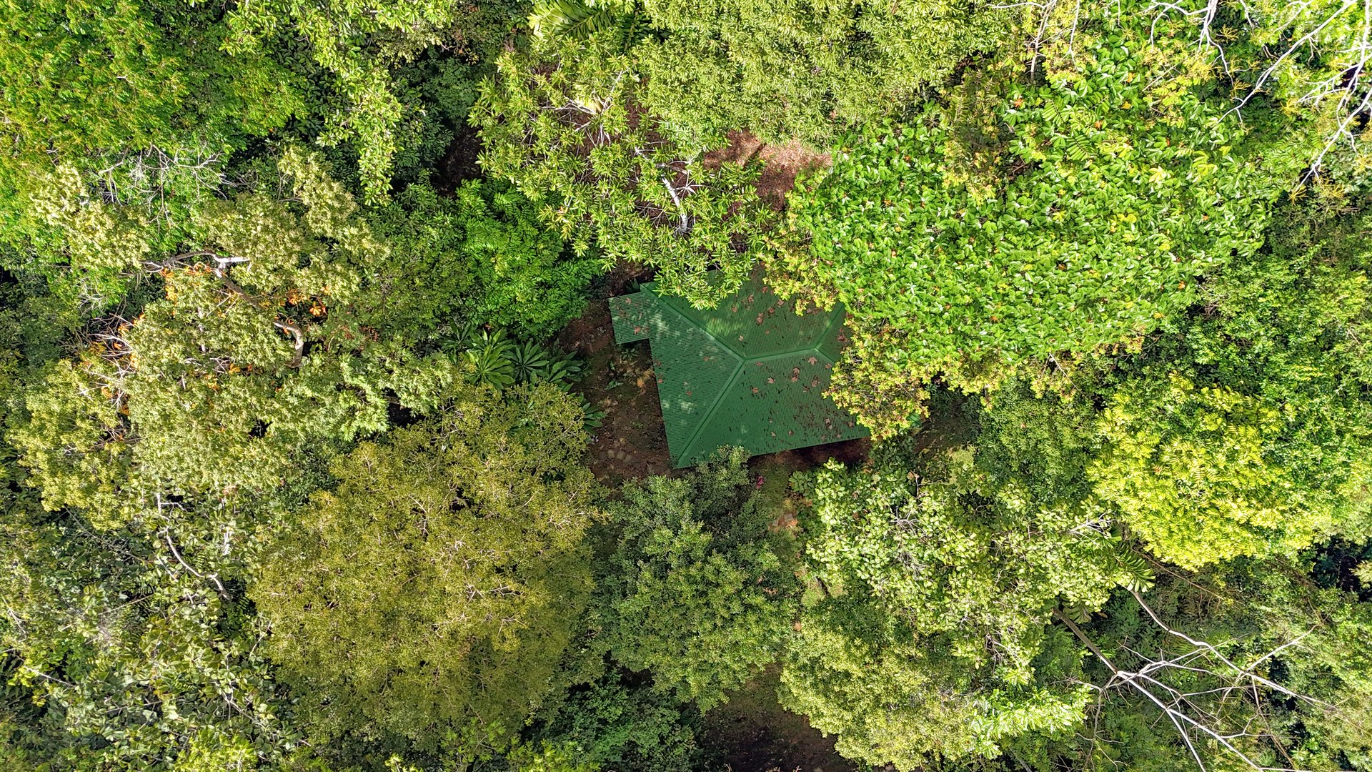 Jungle Retreat with River, Views & 2 Homes in Tres Rios
