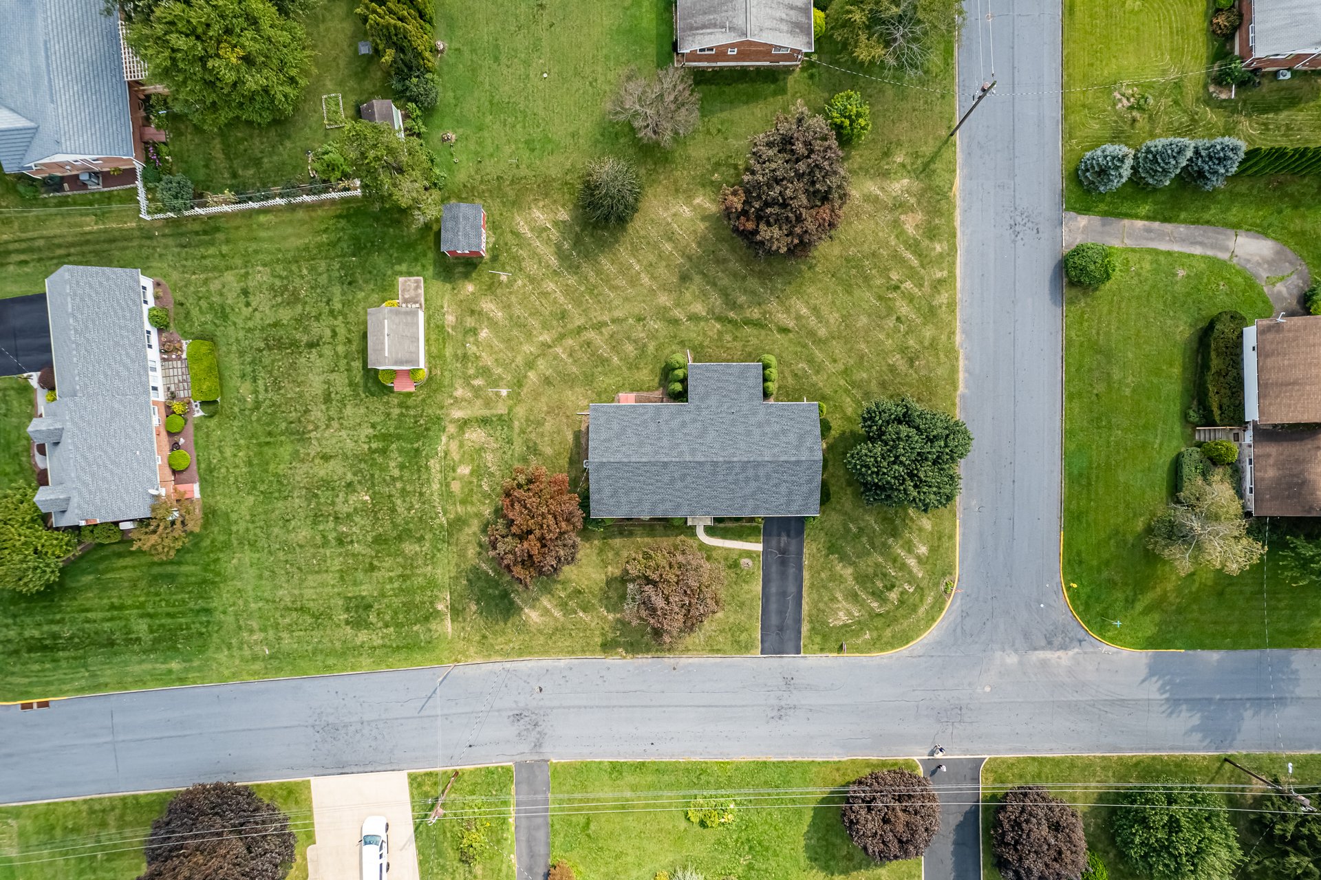 928 Dogwood Lane