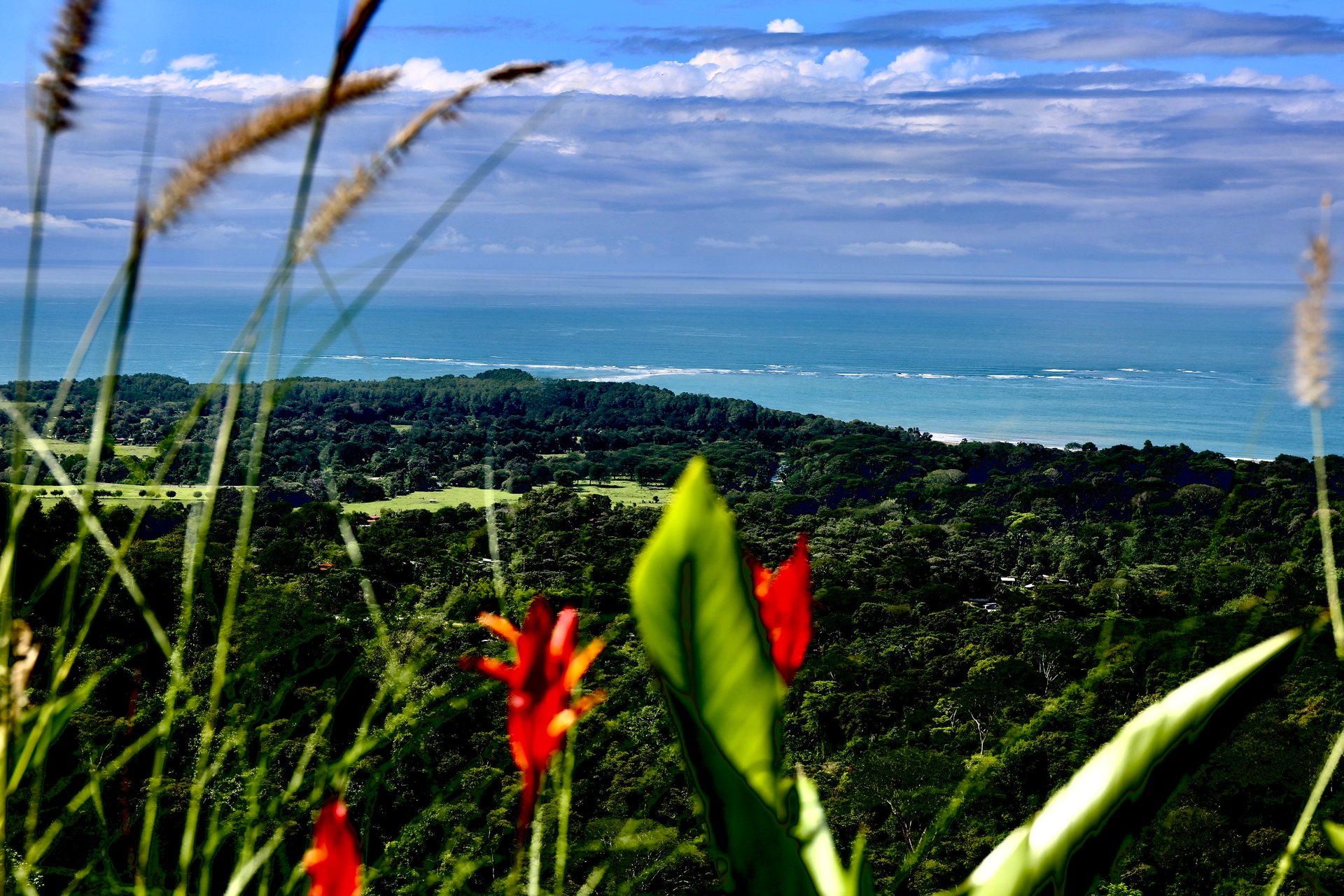 Uvita Black House