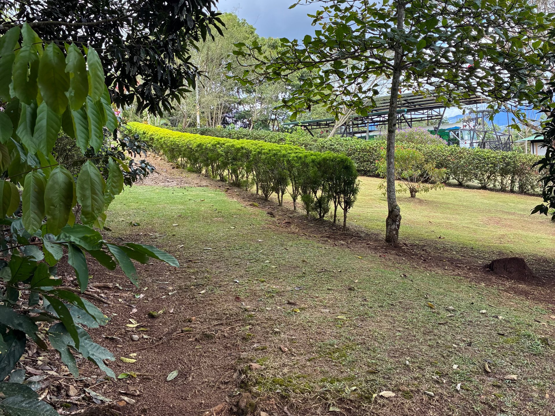Ready-to-Build Mountain View Lot Minutes from San Isidro