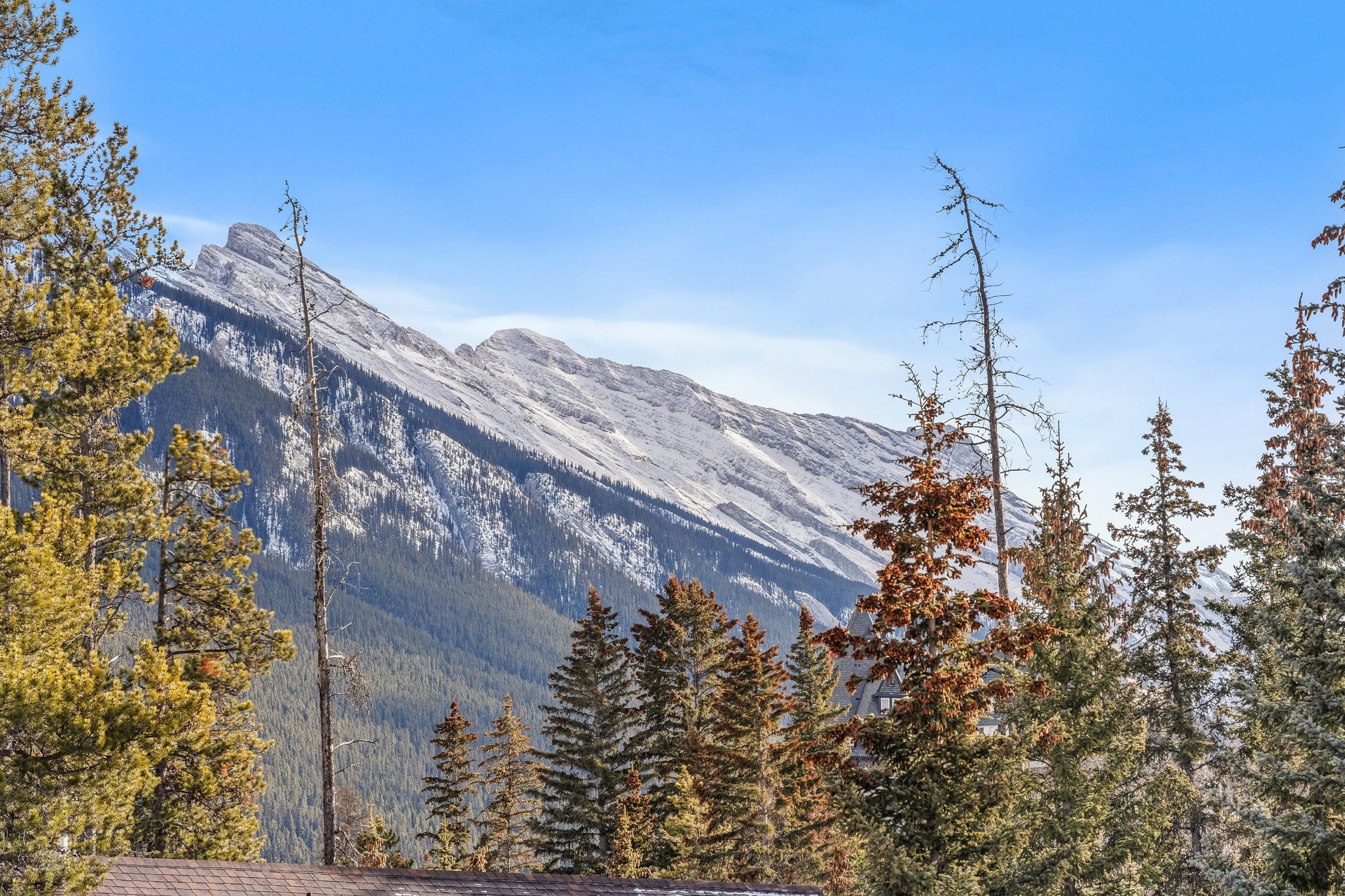 108 Lougheed Circle