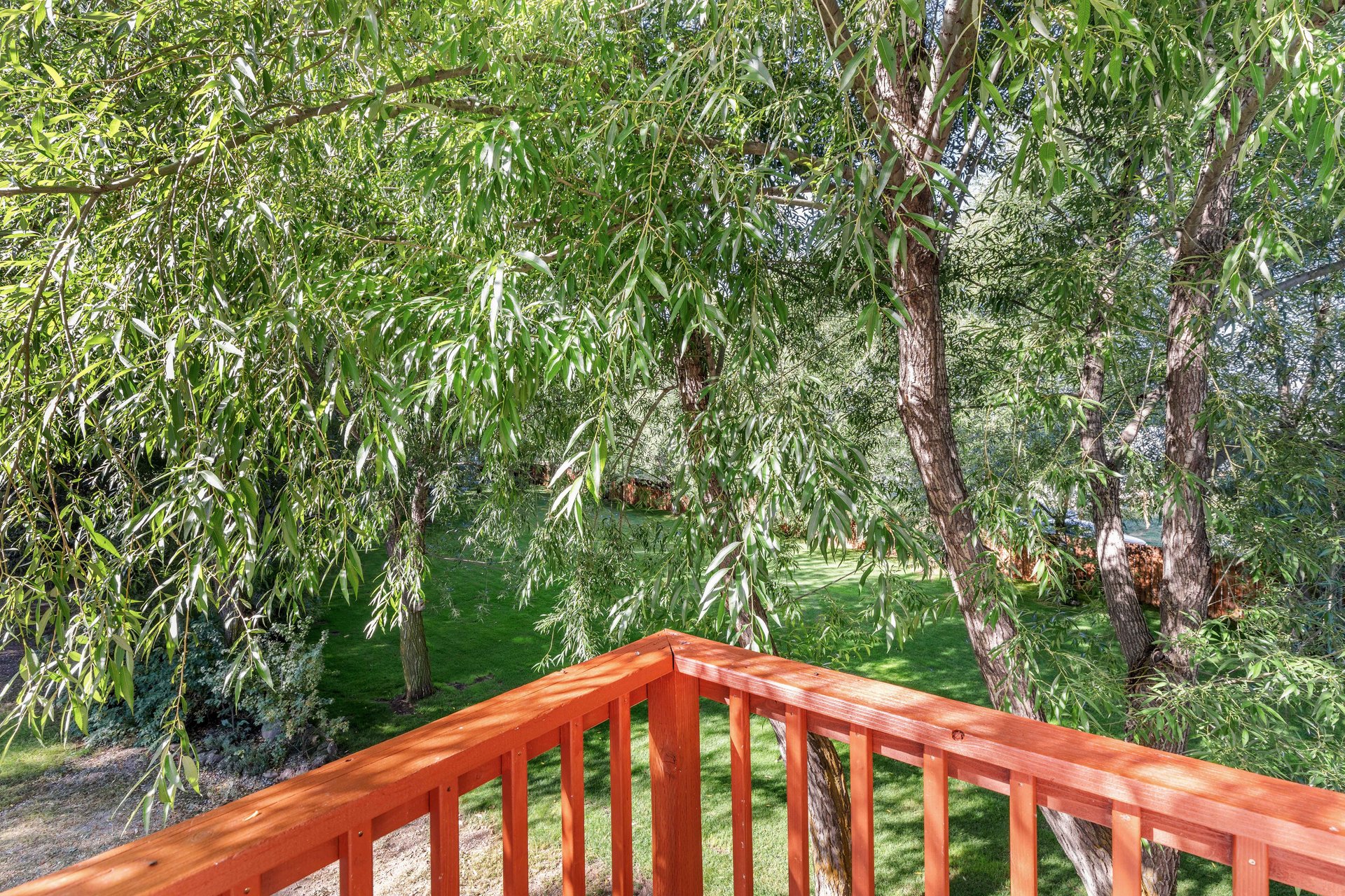 141 COUNTY ROAD 184