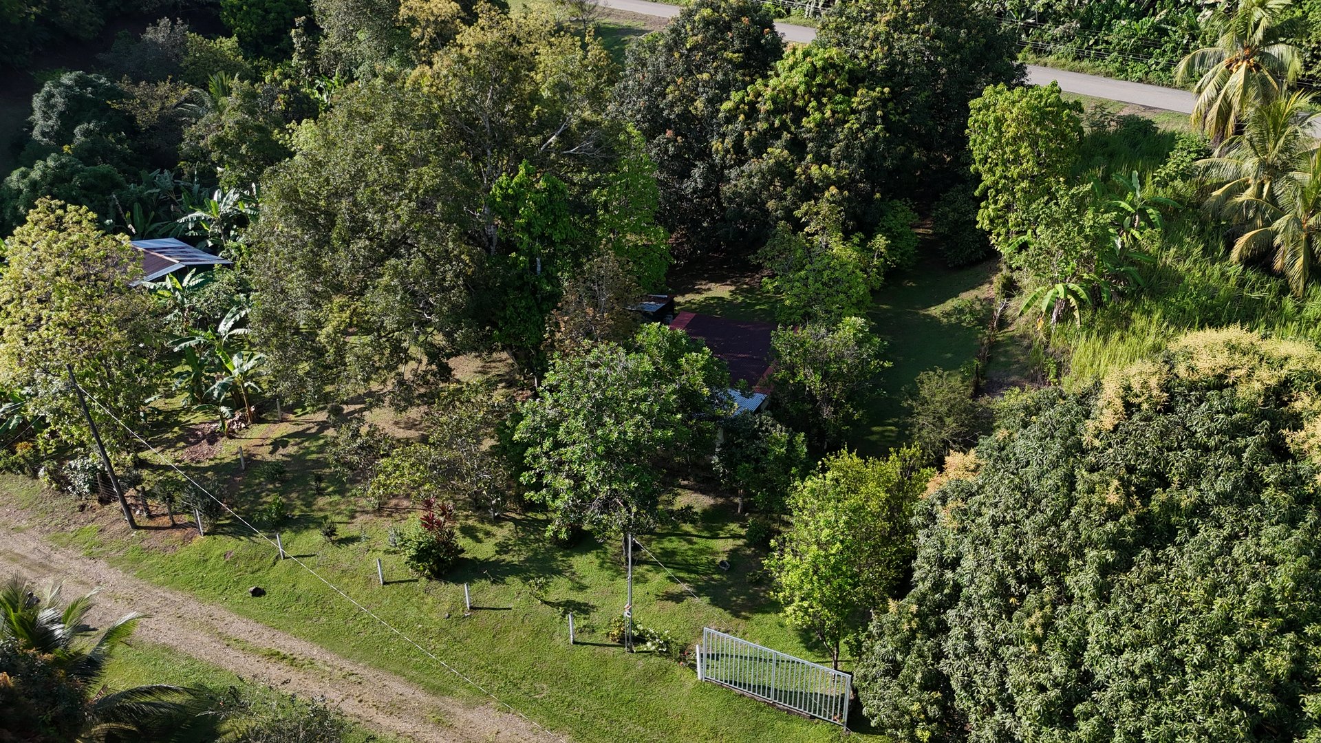 Commercial & Residential Property in Punta Mala with Producing Fruit Trees