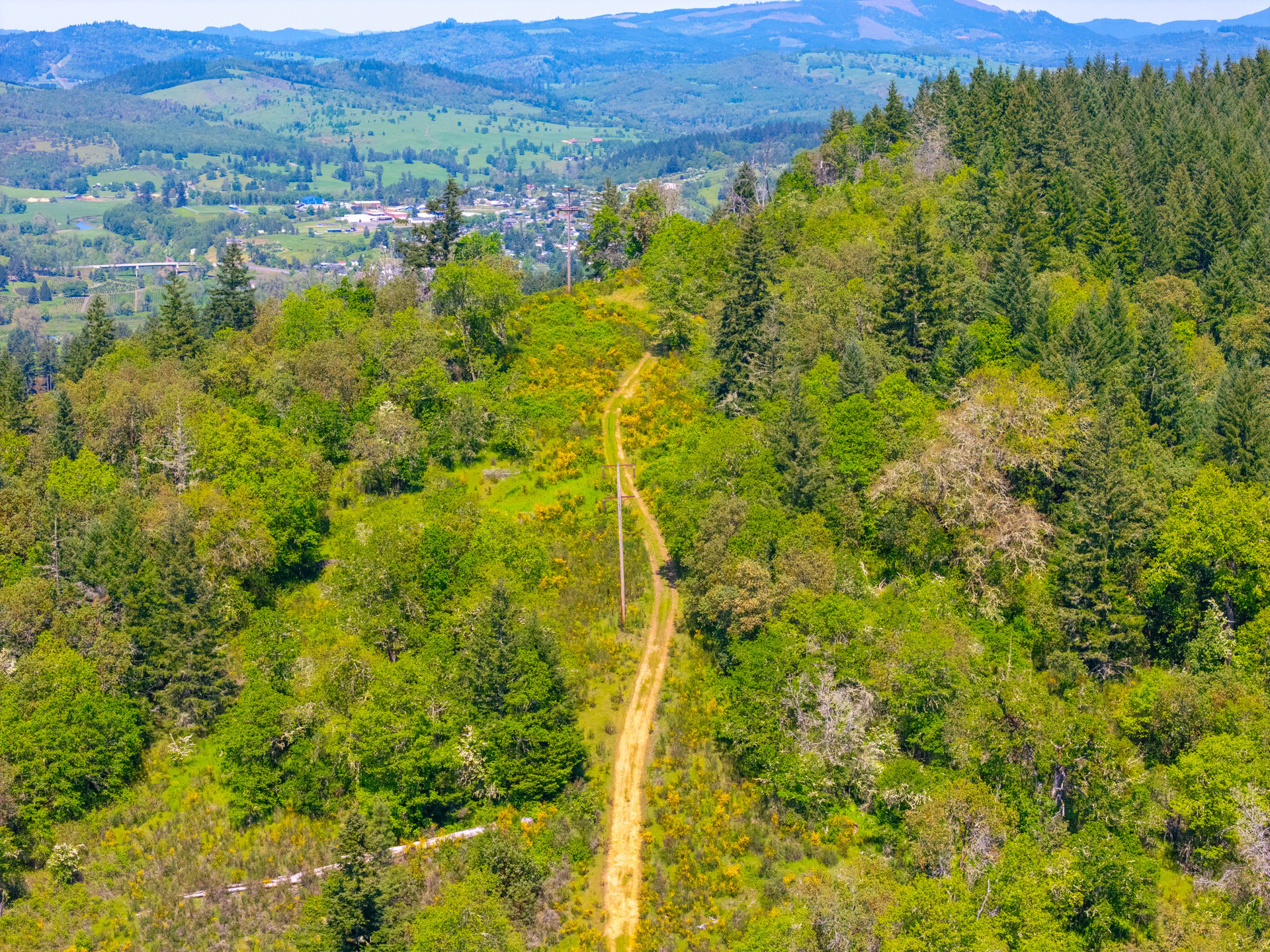 SUTHERLIN HEIGHTS