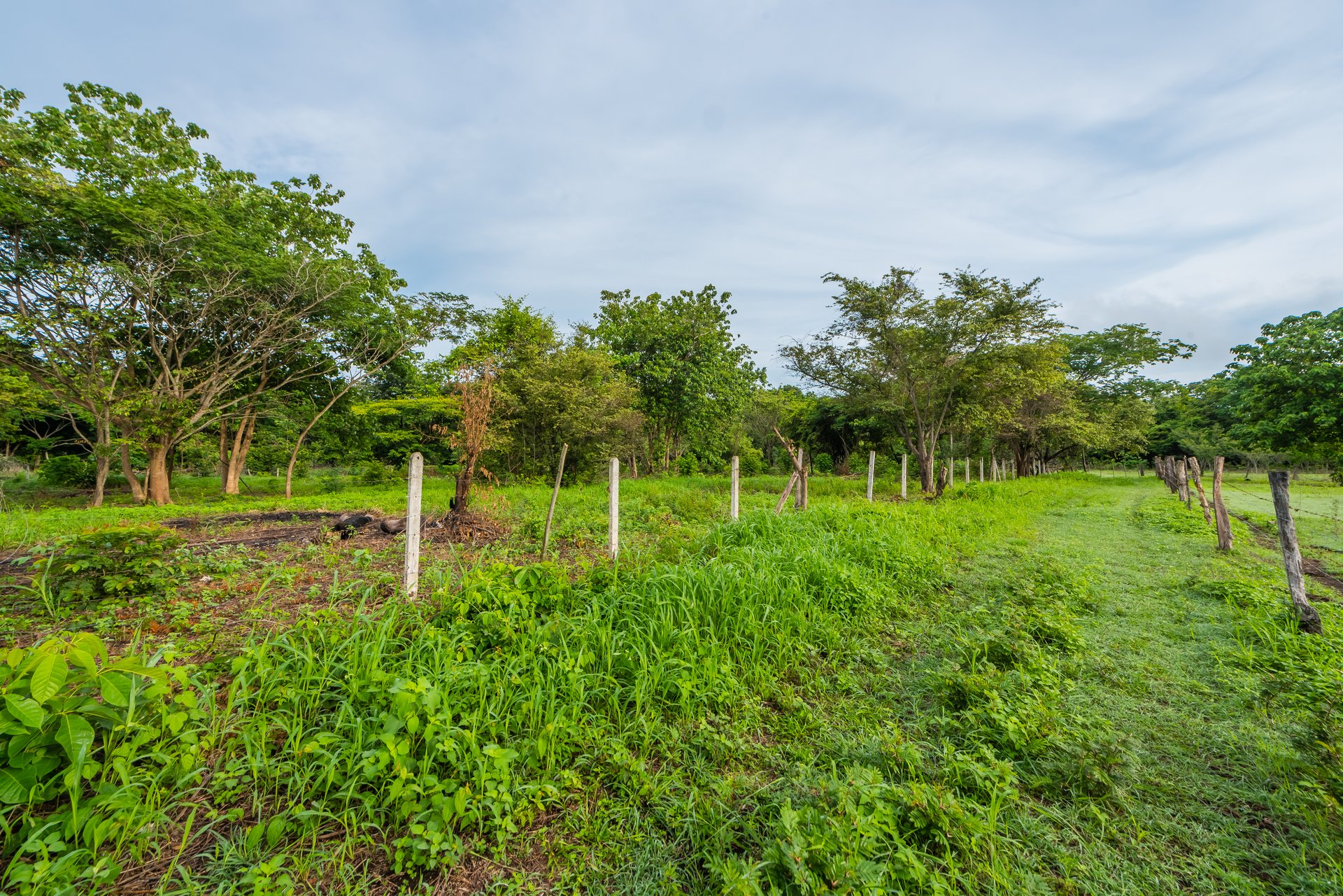 La Garita de Tamarindo Lot | 1.3-Acre Home Site Near Top Beaches, Private, Scenic, and Well-Located