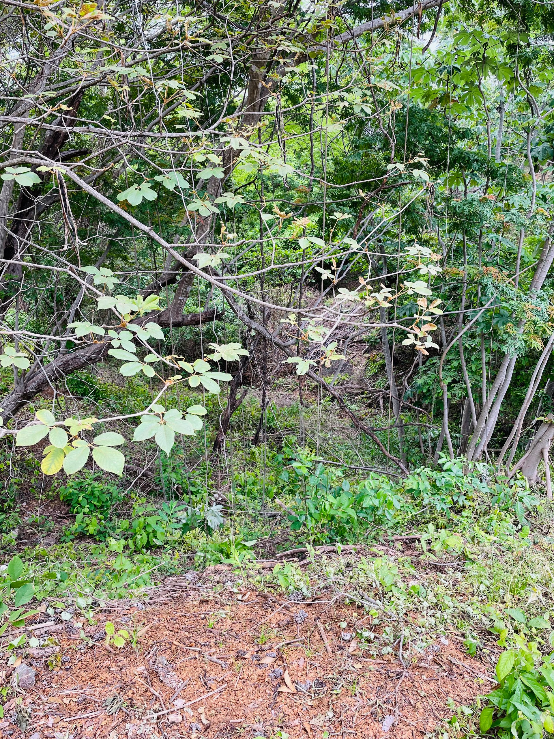 Valle Escondido