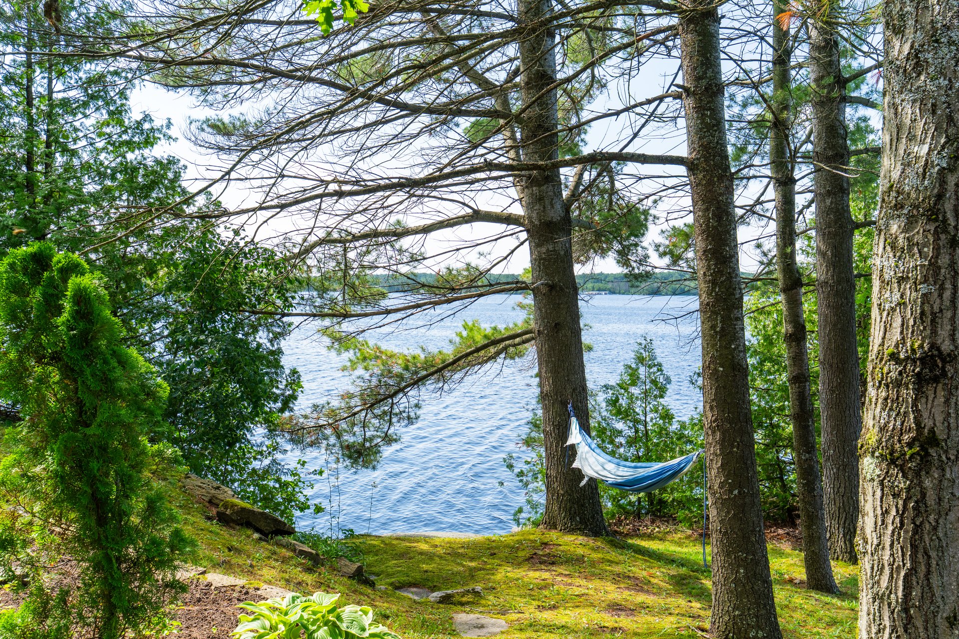 Lake Muskoka