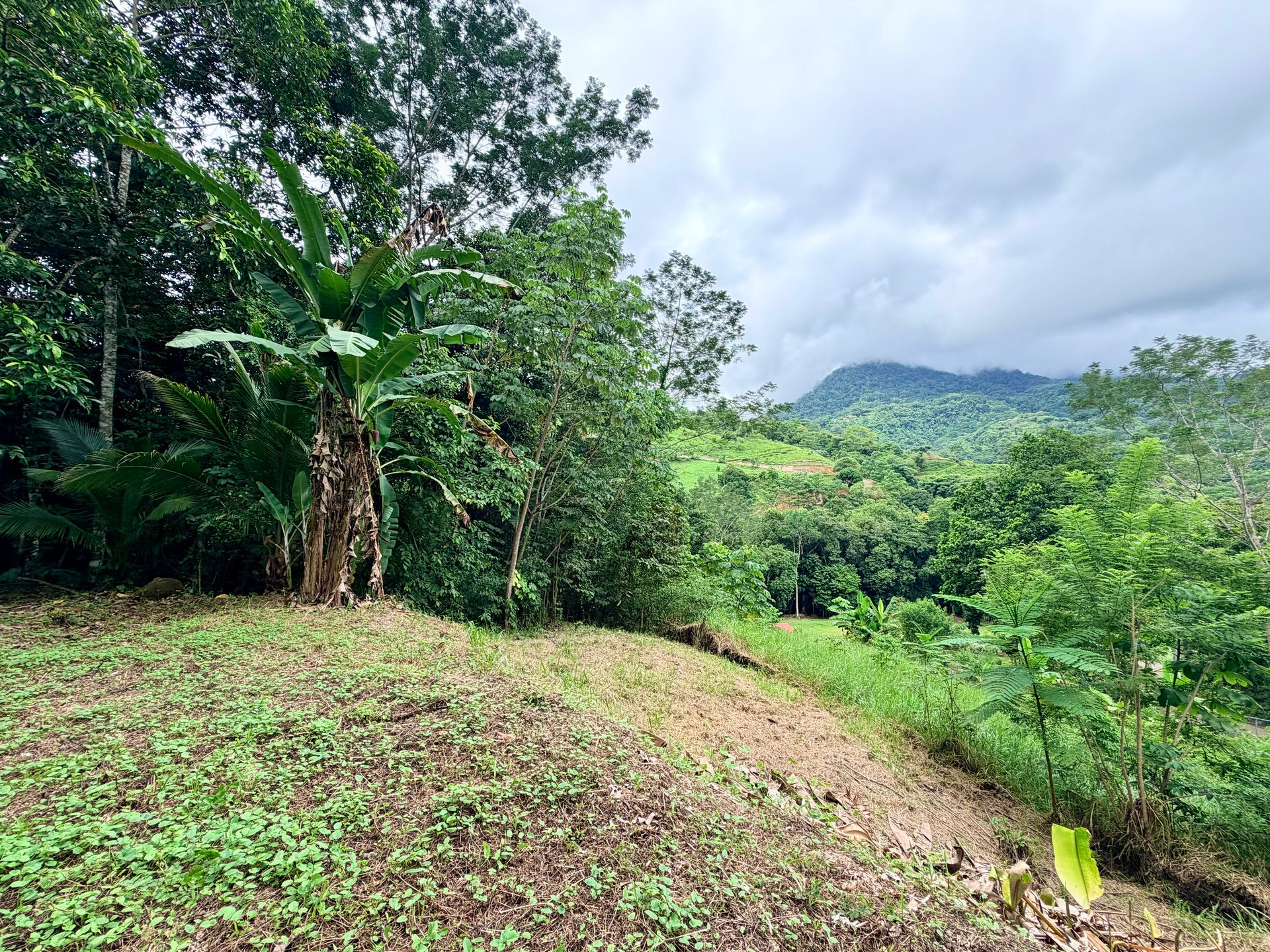 Tres Ríos Jungle Sanctuary | Ready-to-Build Lot Surrounded by Nature