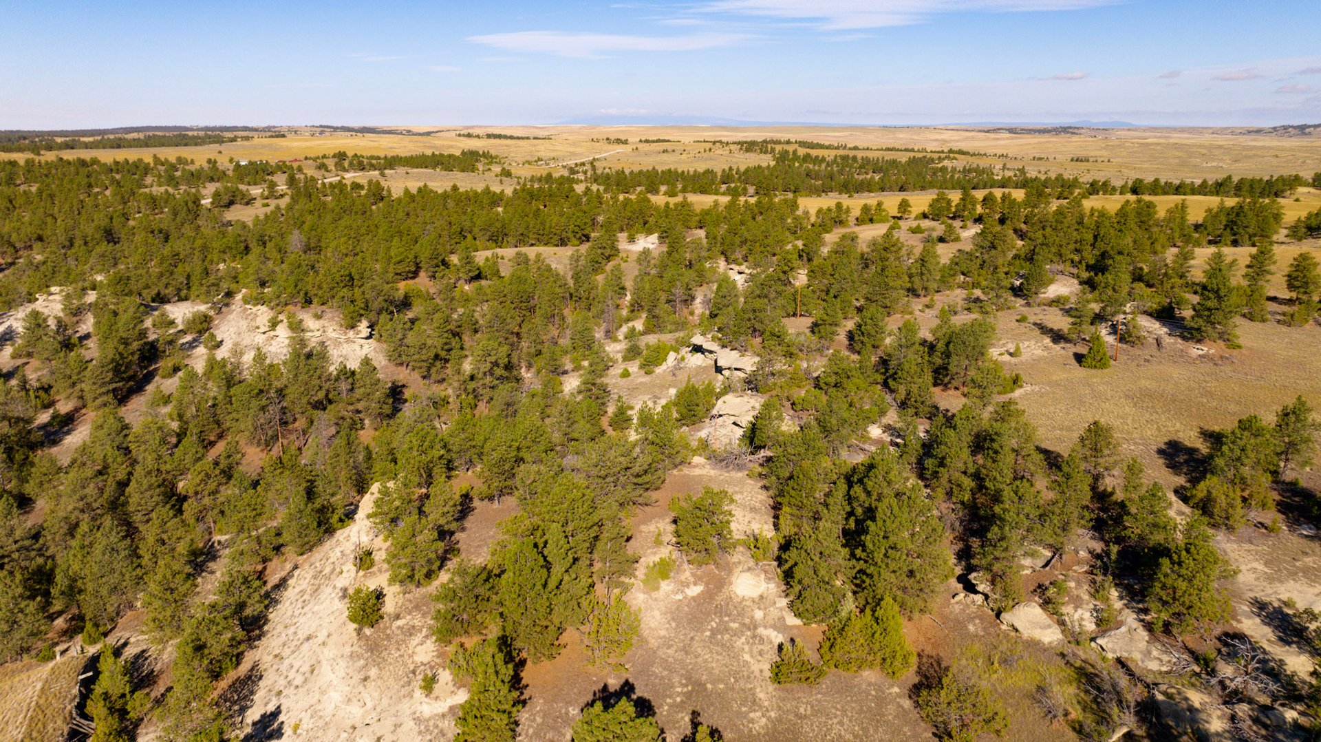 Bull Mountain Overlook