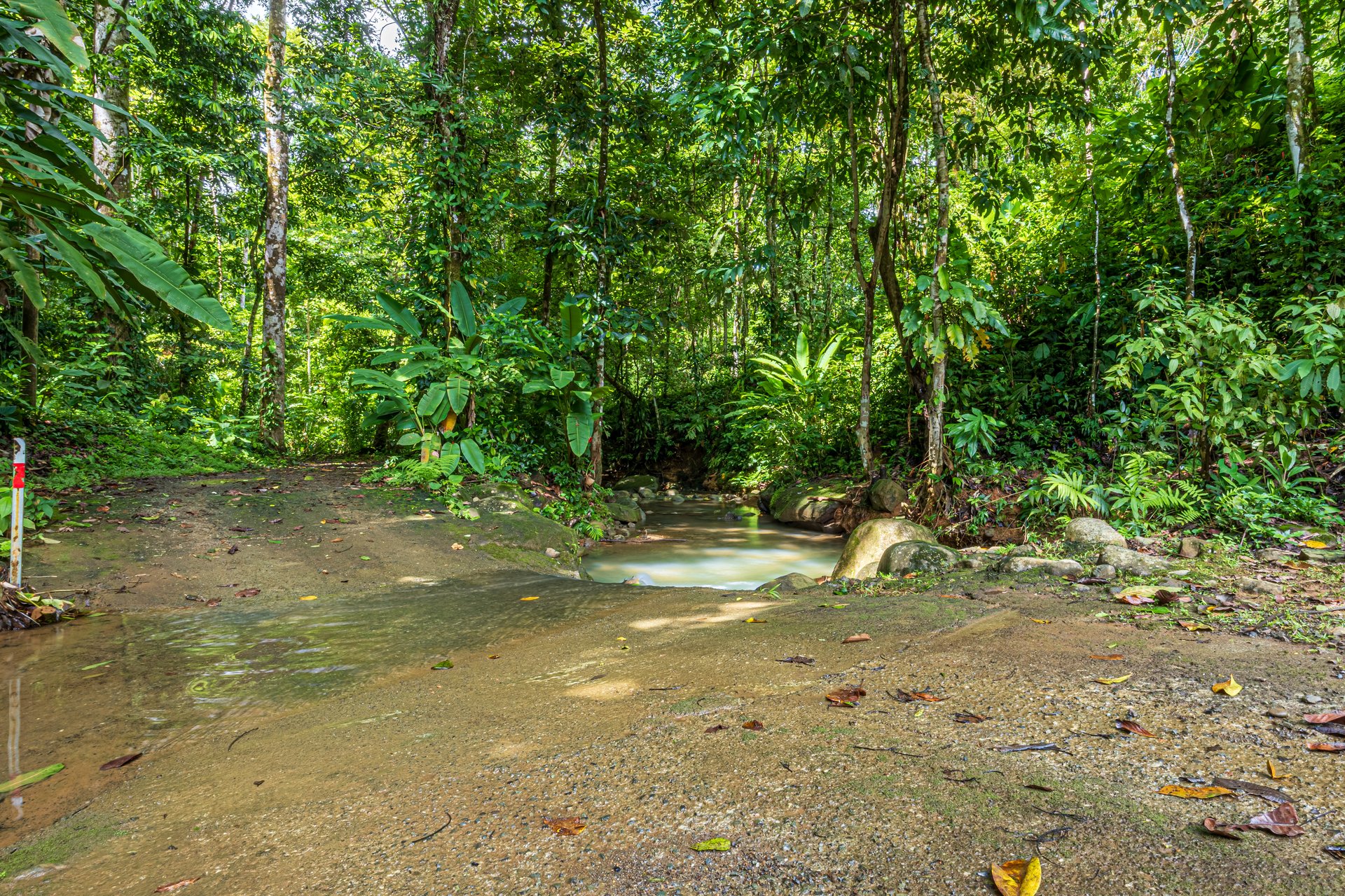 A Jungle House Built of Wood & River Dreams