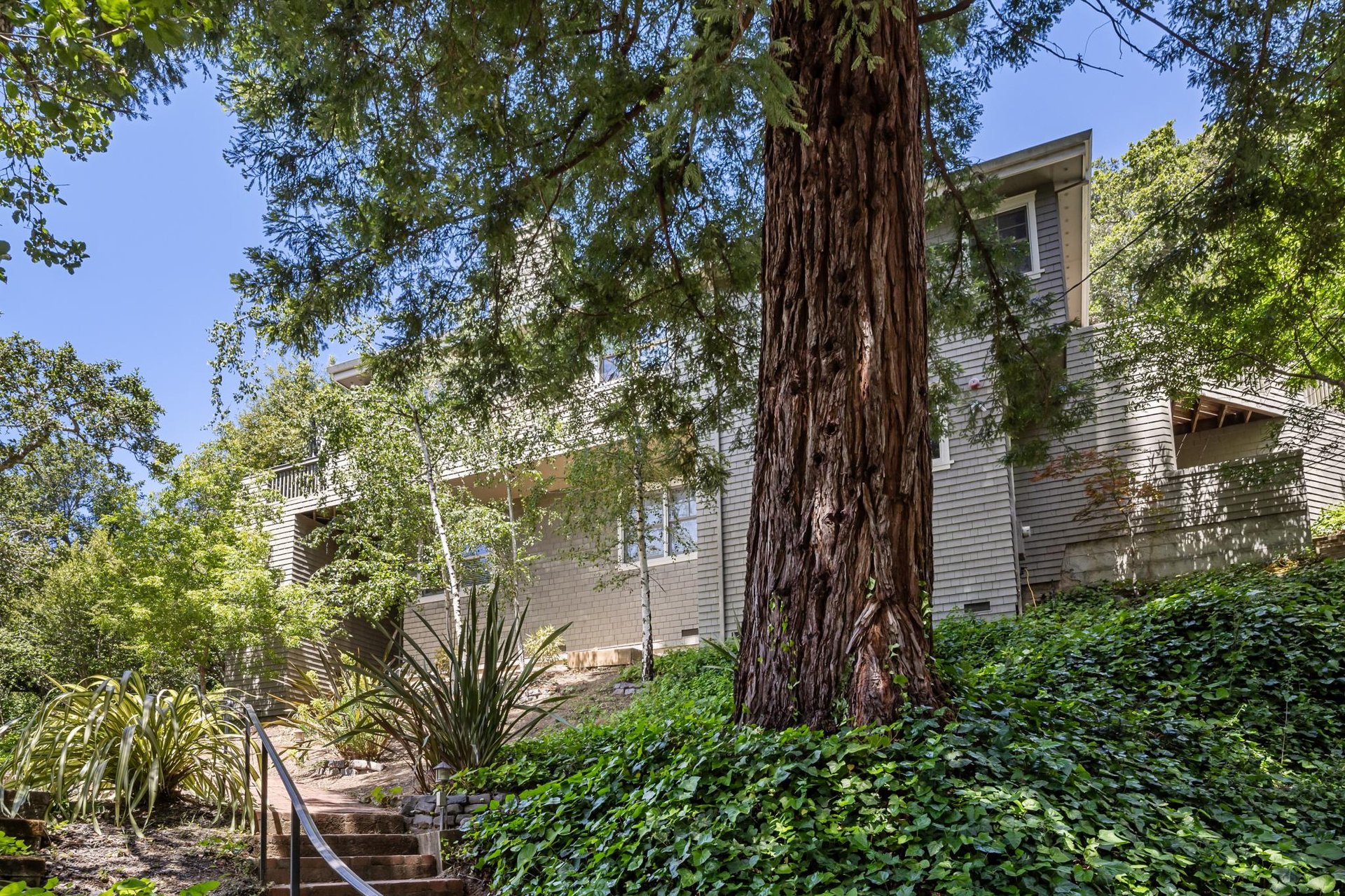 137 Del Casa Dr, Mill Valley